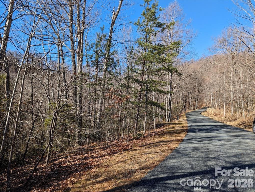 Lot at 28 Trillium Lane, Black Mountain, photo 12 of 25