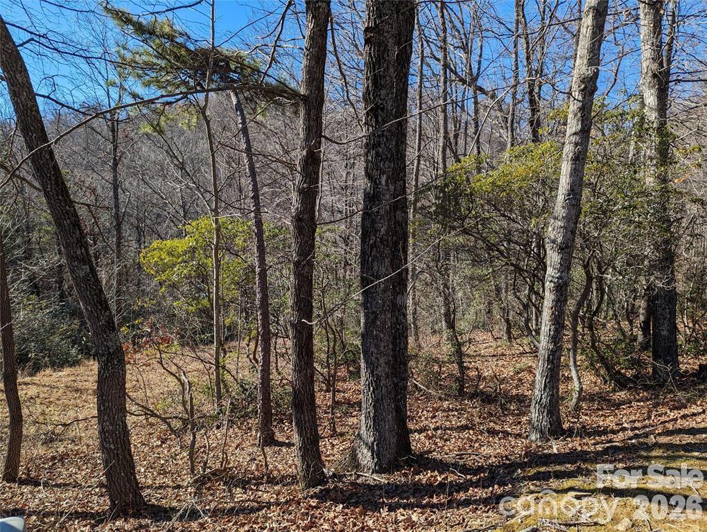Lot at 28 Trillium Lane, Black Mountain, photo 16 of 25