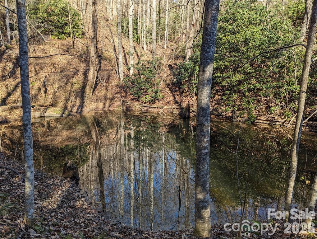 Lot at 28 Trillium Lane, Black Mountain, photo 21 of 25