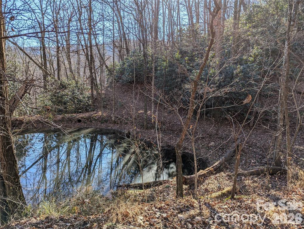 Lot at 28 Trillium Lane, Black Mountain, photo 22 of 25