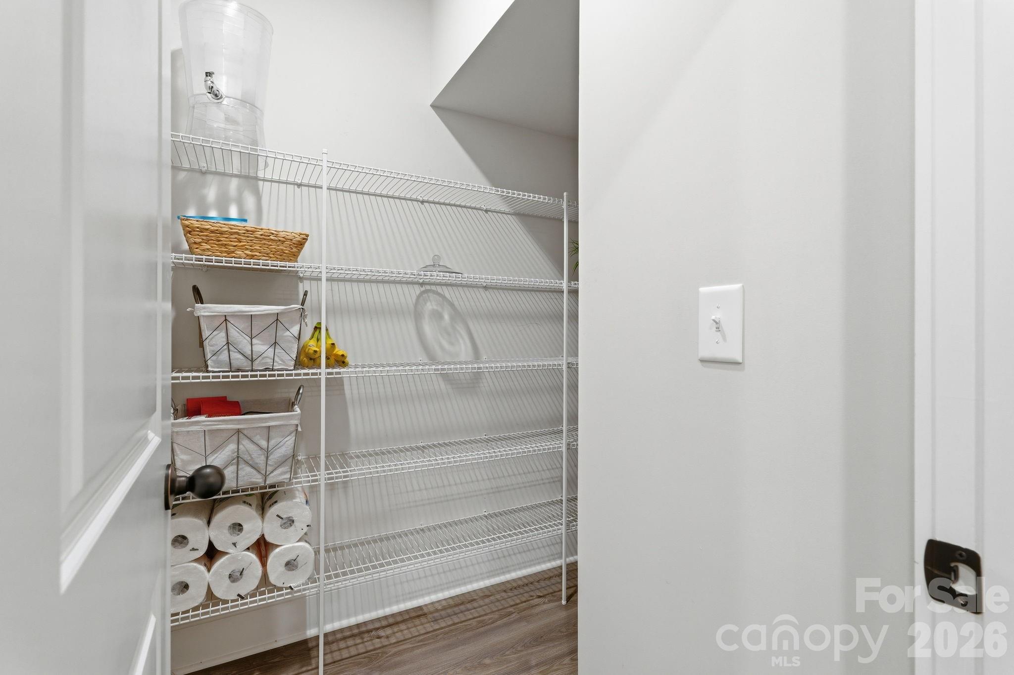 Walk-In pantry - 729 Veloway Drive, Rock Hill