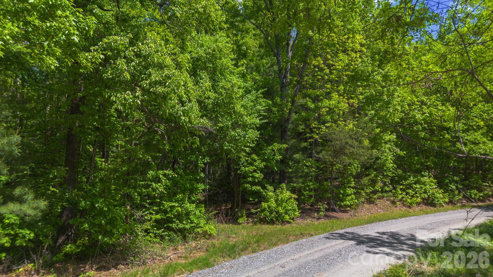 ingress-egress - 0 Roper Hollow Road, Morganton