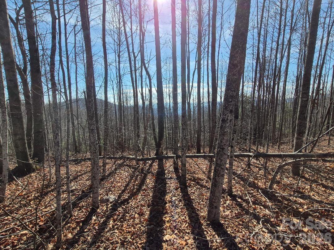 fall/winter view from the top of the ridgeline - great spot for building - 0 Roper Hollow Road, Morganton