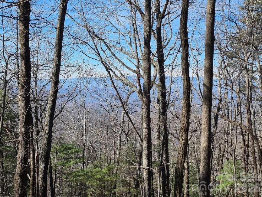 fall/winter view from the ridgeline - 0 Roper Hollow Road, Morganton