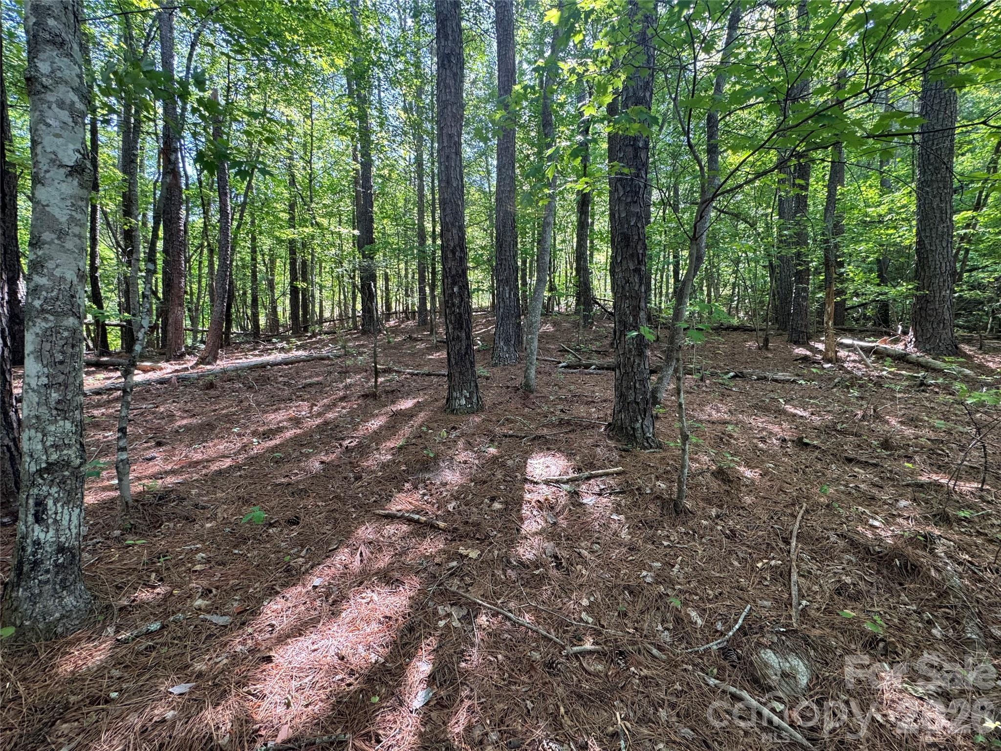 Lot at 0 Island Creek Road, Lake Lure, photo 2 of 7