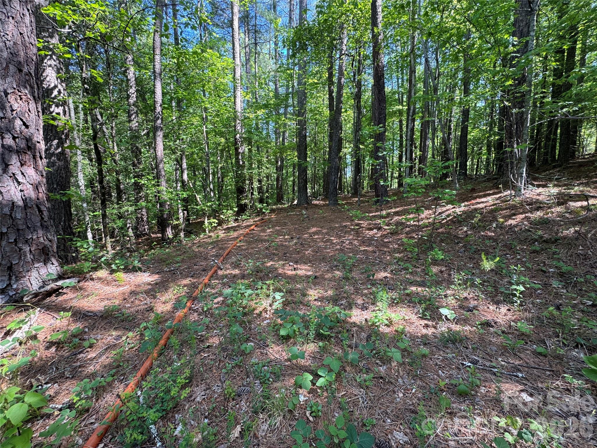 Lot at 0 Island Creek Road, Lake Lure, photo 4 of 7