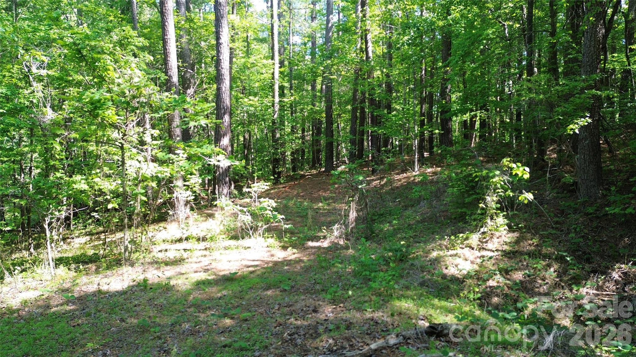 Lot at 0 Island Creek Road, Lake Lure, photo 5 of 7