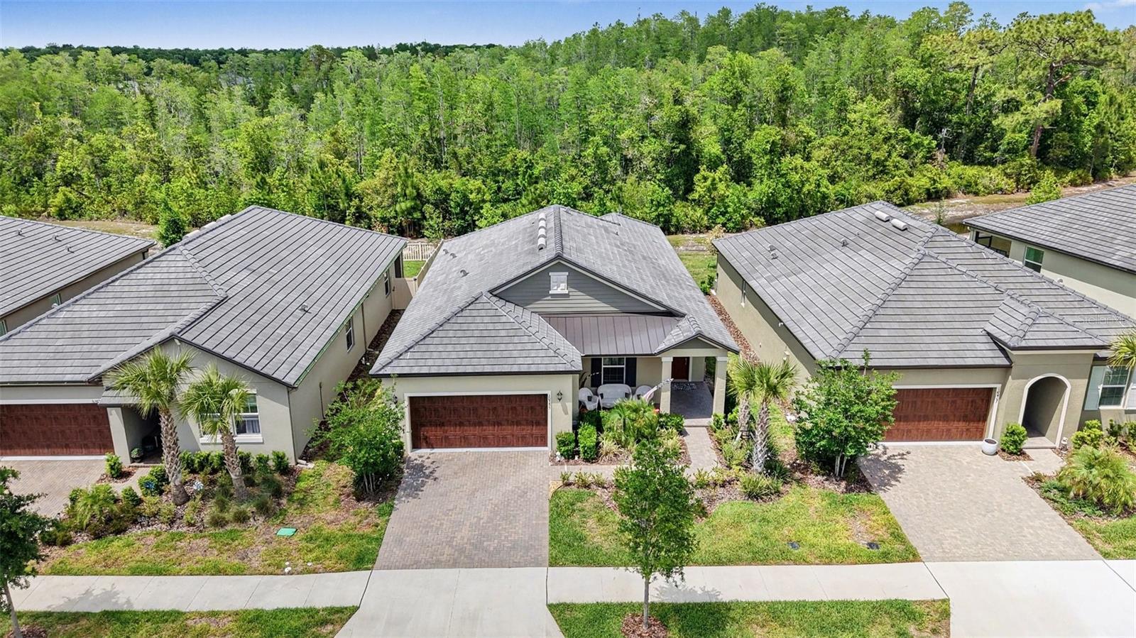 Arial View - 10395 BANYAN BREEZE BLVD, LAND O LAKES