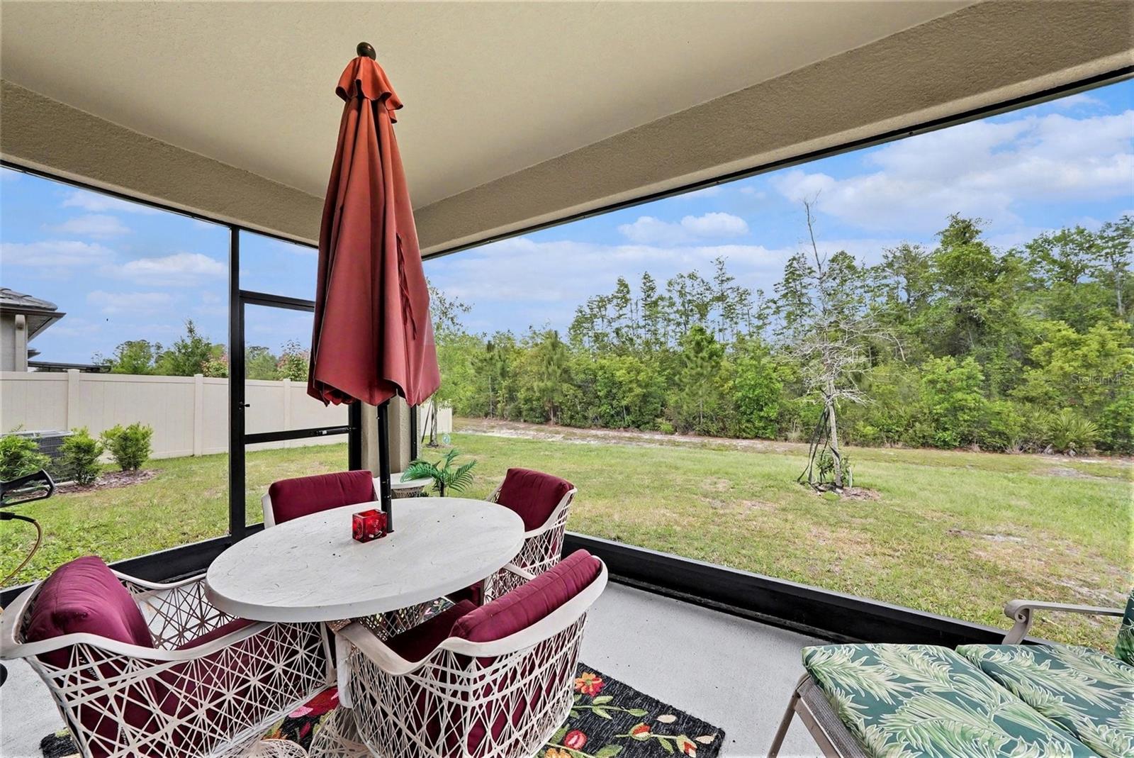 Lanai, backyard view - 10395 BANYAN BREEZE BLVD, LAND O LAKES