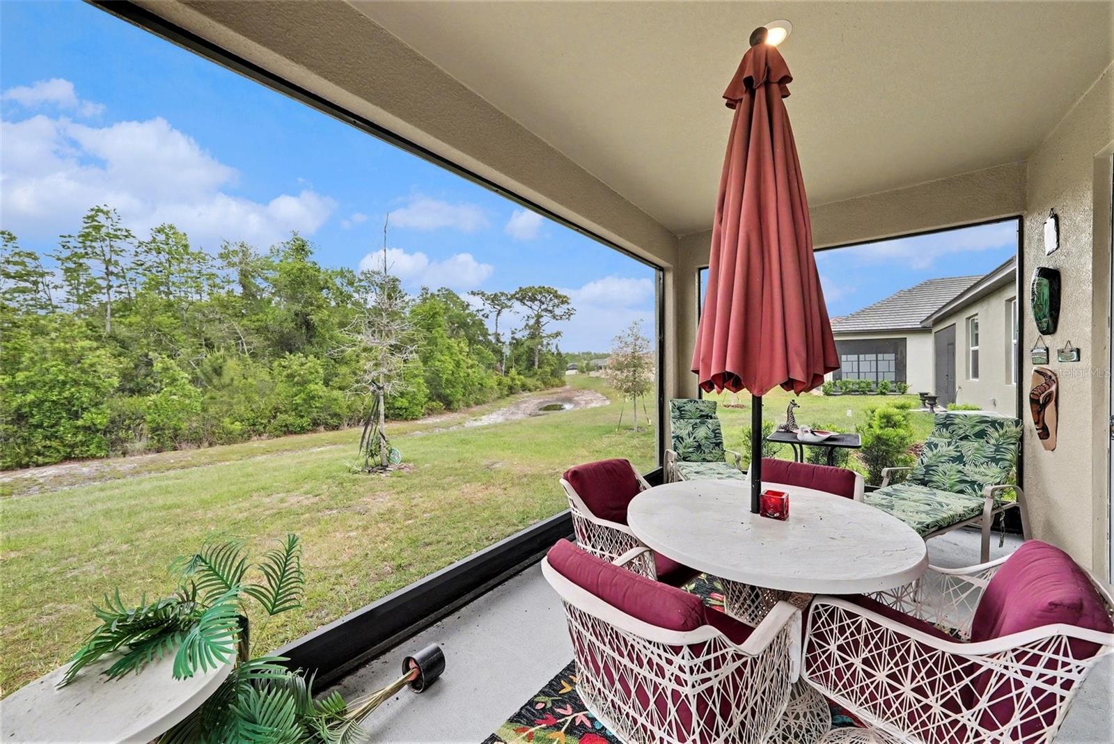 Single Family Residence at 10395 BANYAN BREEZE BLVD, LAND O LAKES, photo 41 of 46