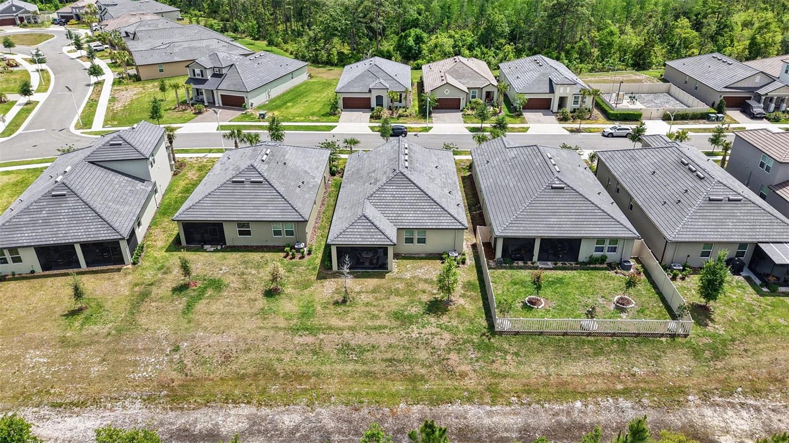 Single Family Residence at 10395 BANYAN BREEZE BLVD, LAND O LAKES, photo 43 of 46