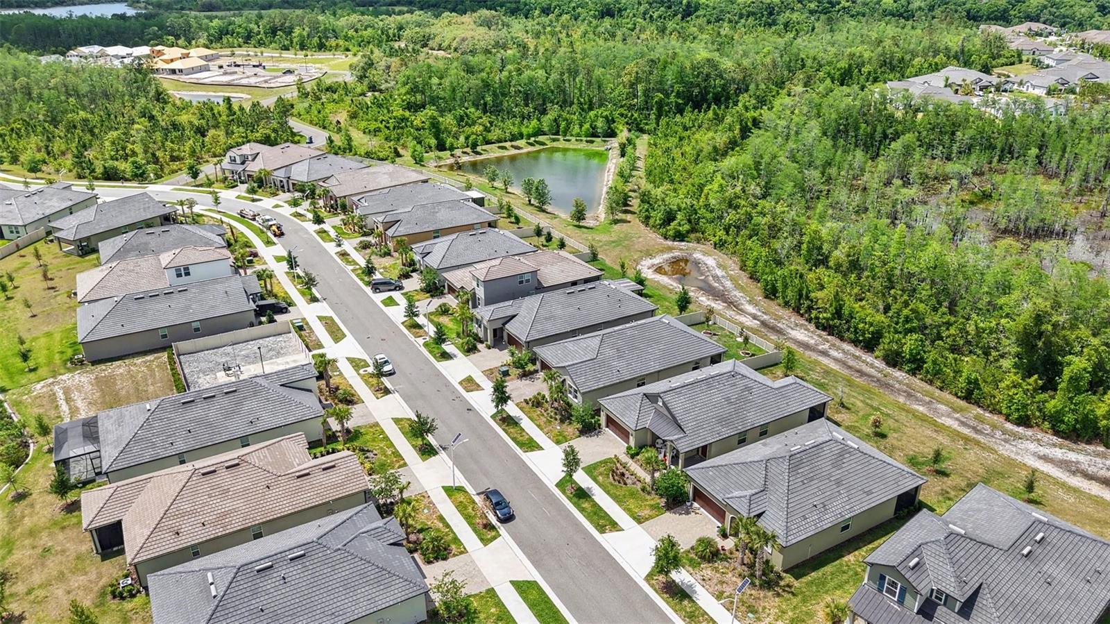 Arial view of Street - 10395 BANYAN BREEZE BLVD, LAND O LAKES
