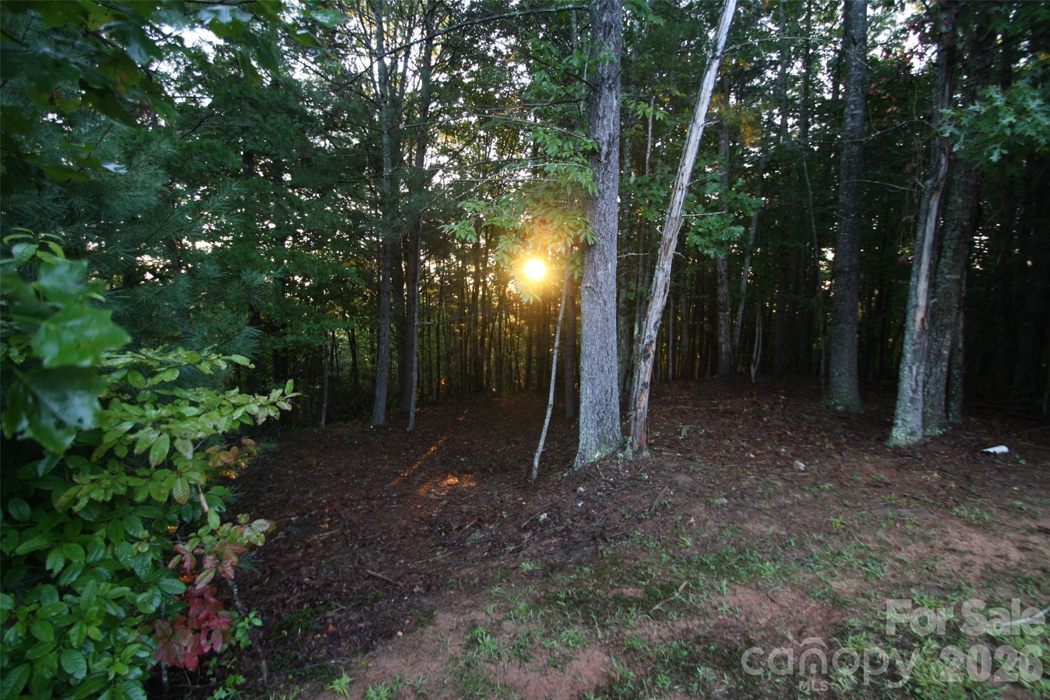 Lot at TBD Poplar Bluff Drive, Lenoir, photo 3 of 26