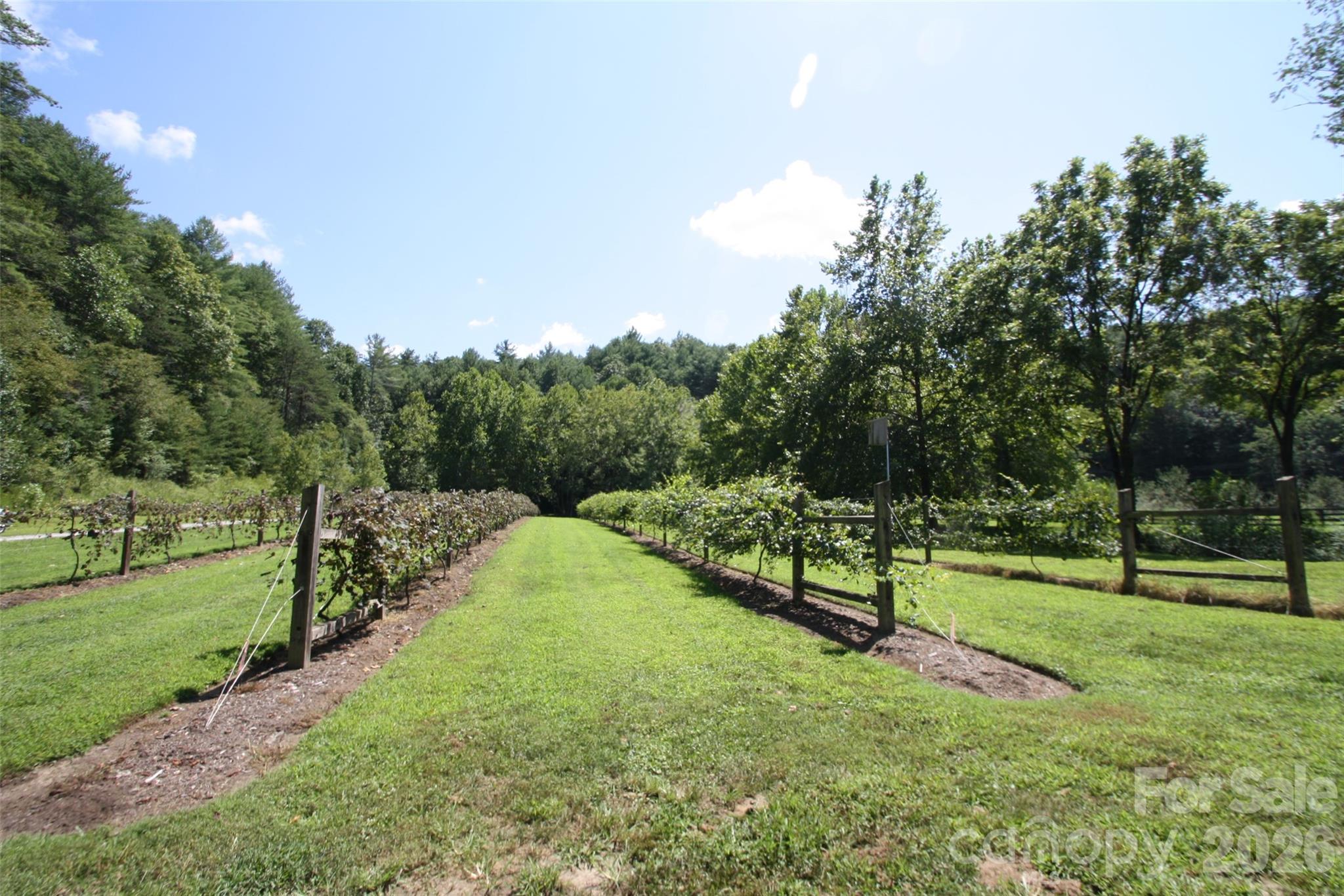 Lot at TBD Poplar Bluff Drive, Lenoir, photo 21 of 26