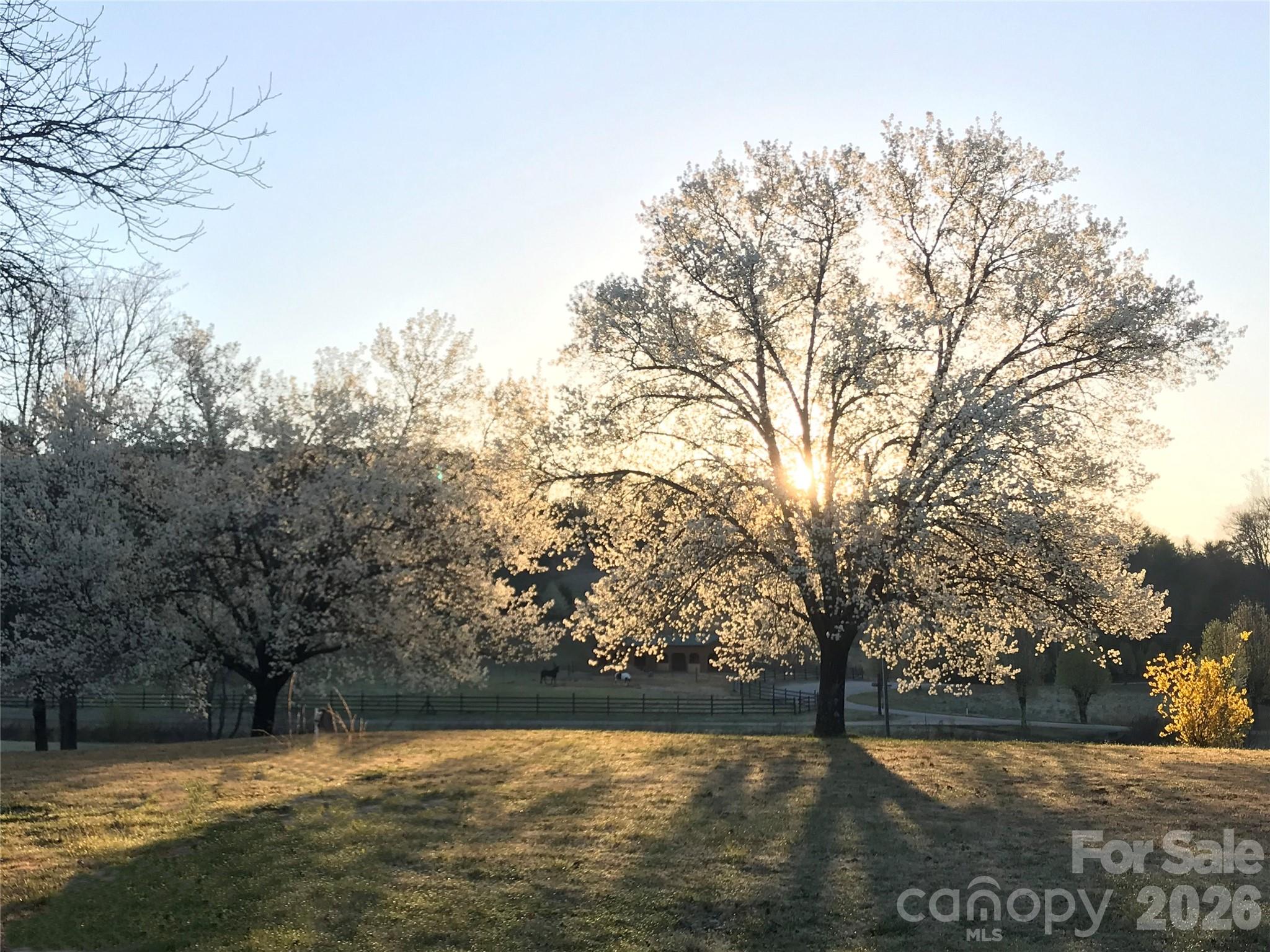 Lot at TBD Poplar Bluff Drive, Lenoir, photo 24 of 26