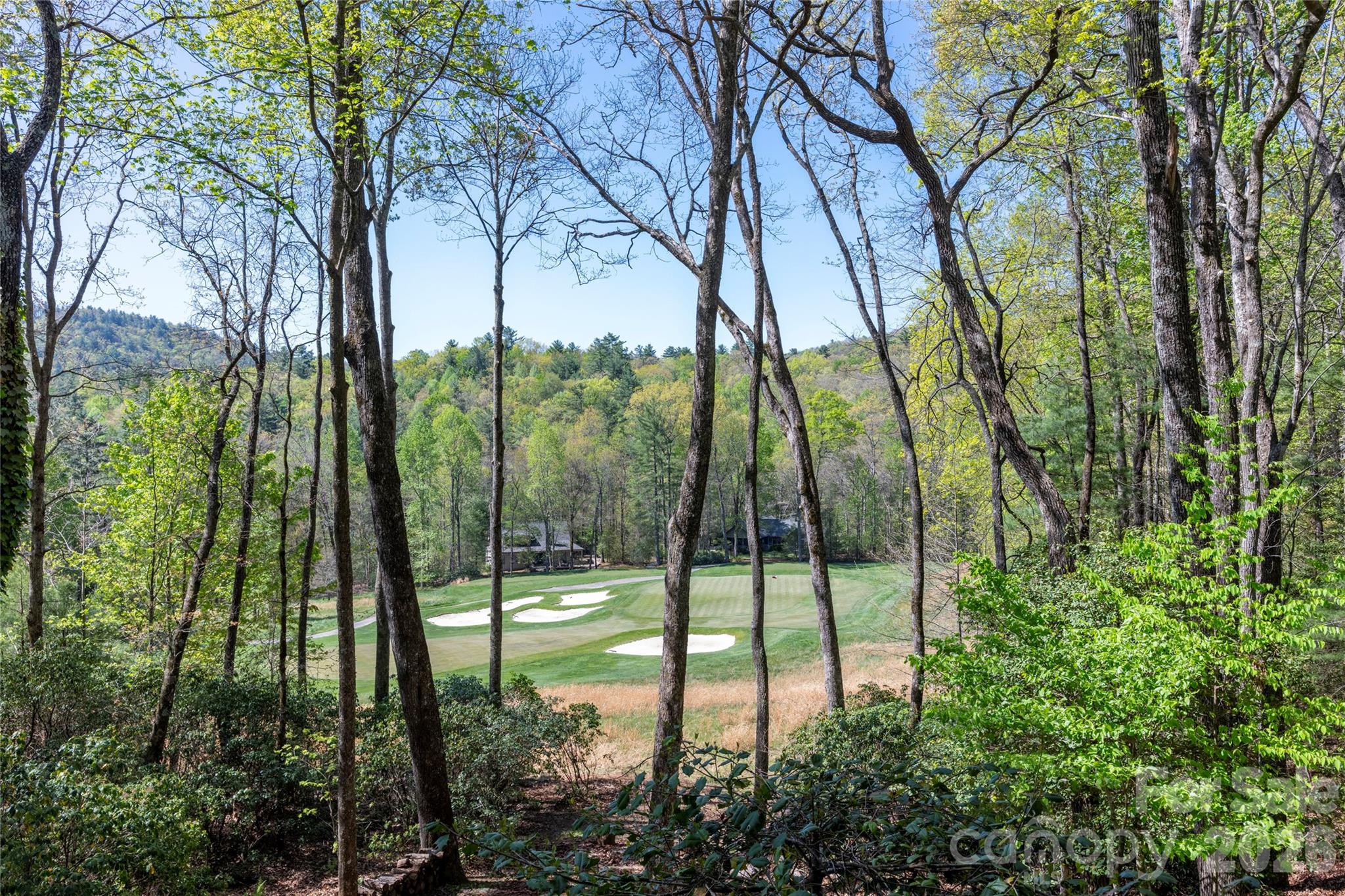 Single Family Residence at 516 Cherokee Trace, Lake Toxaway, photo 39 of 48