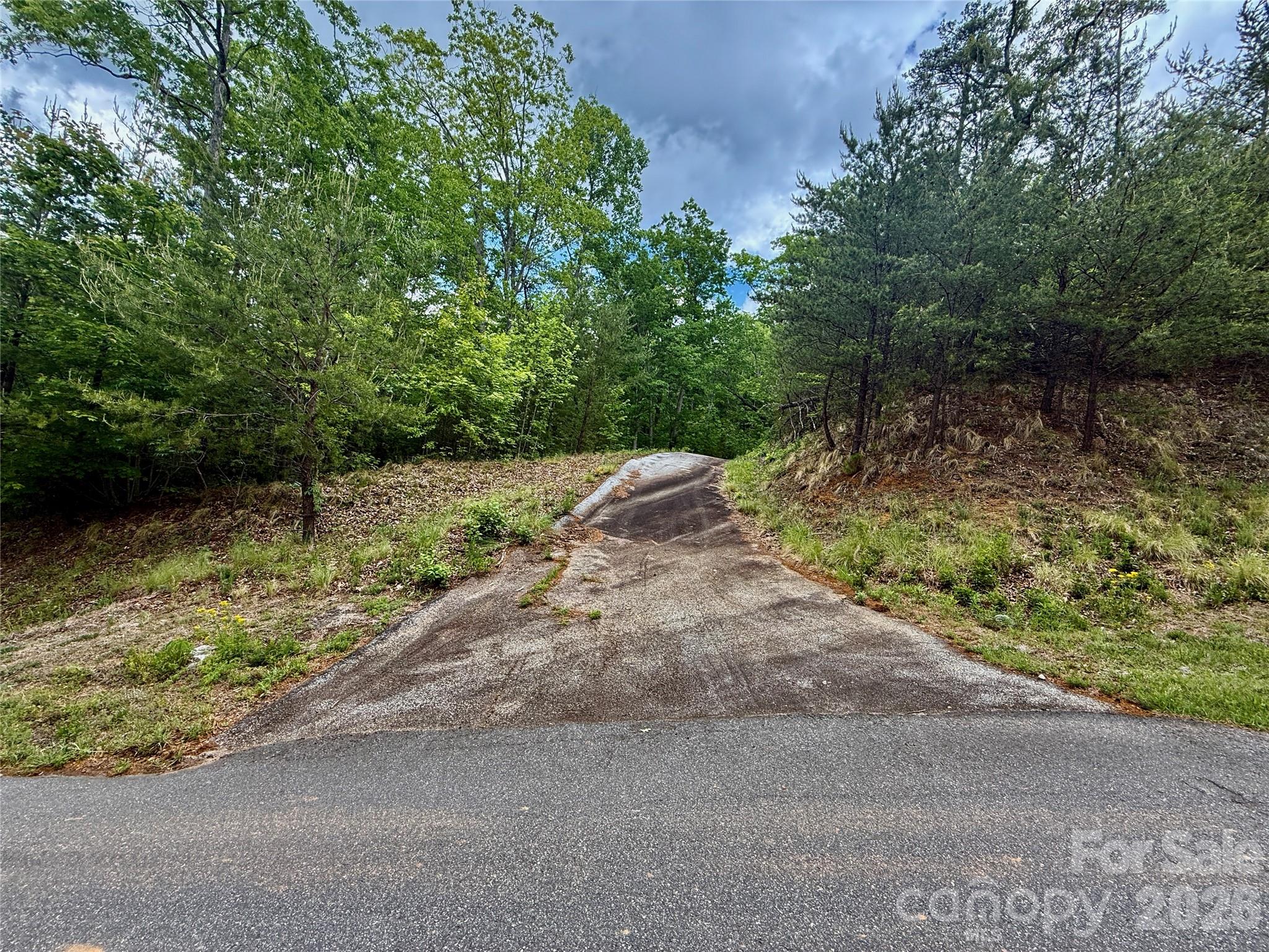 Lot 272 Ruffed in driveway/access - Lot 272 Bills Mountain Trail, Lake Lure