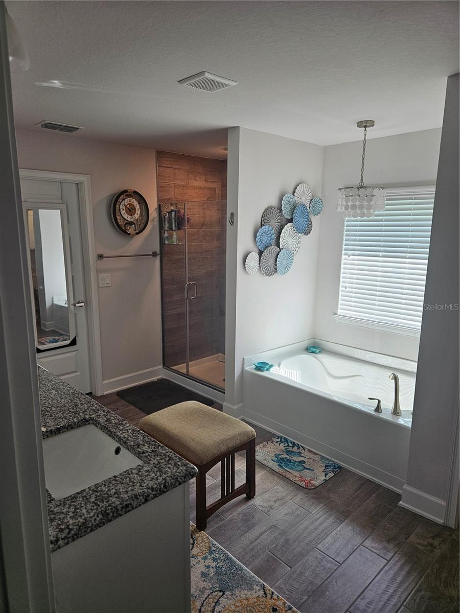 Master Bath - 4222 JULIANA LAKE DR, AUBURNDALE