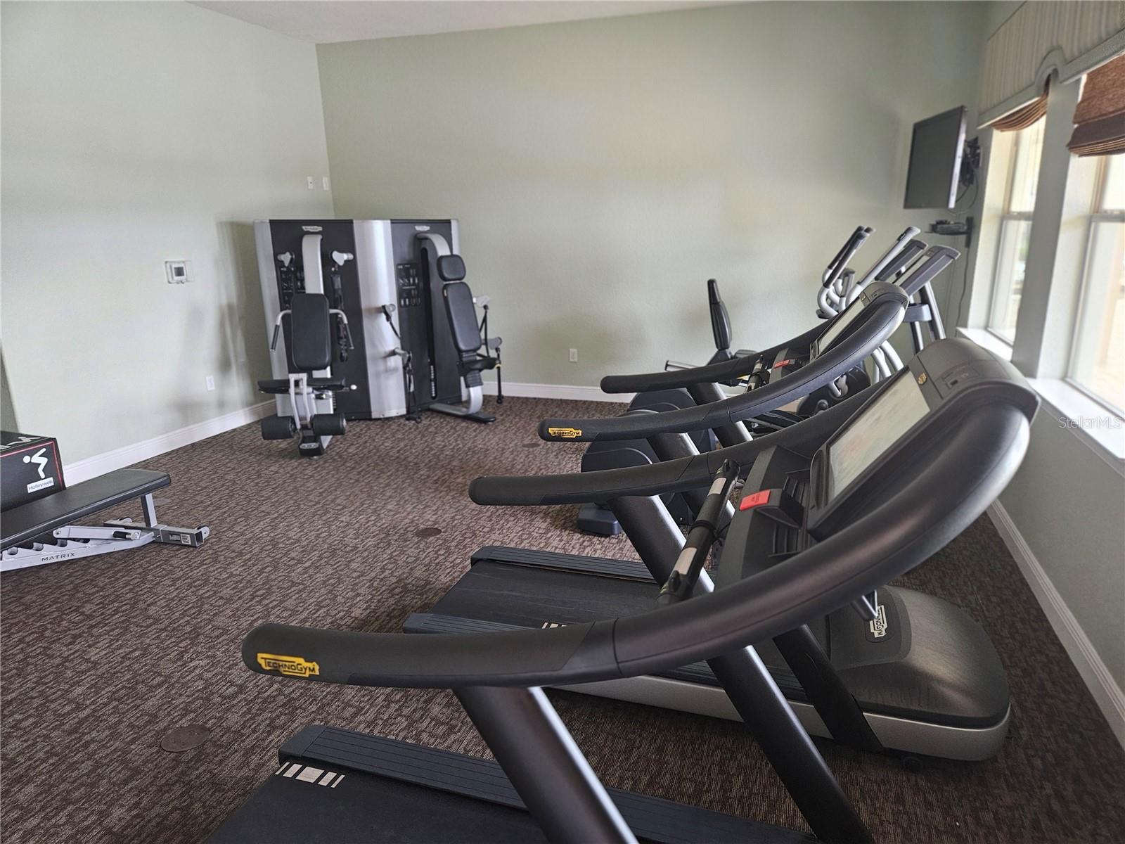 Gym - 4222 JULIANA LAKE DR, AUBURNDALE