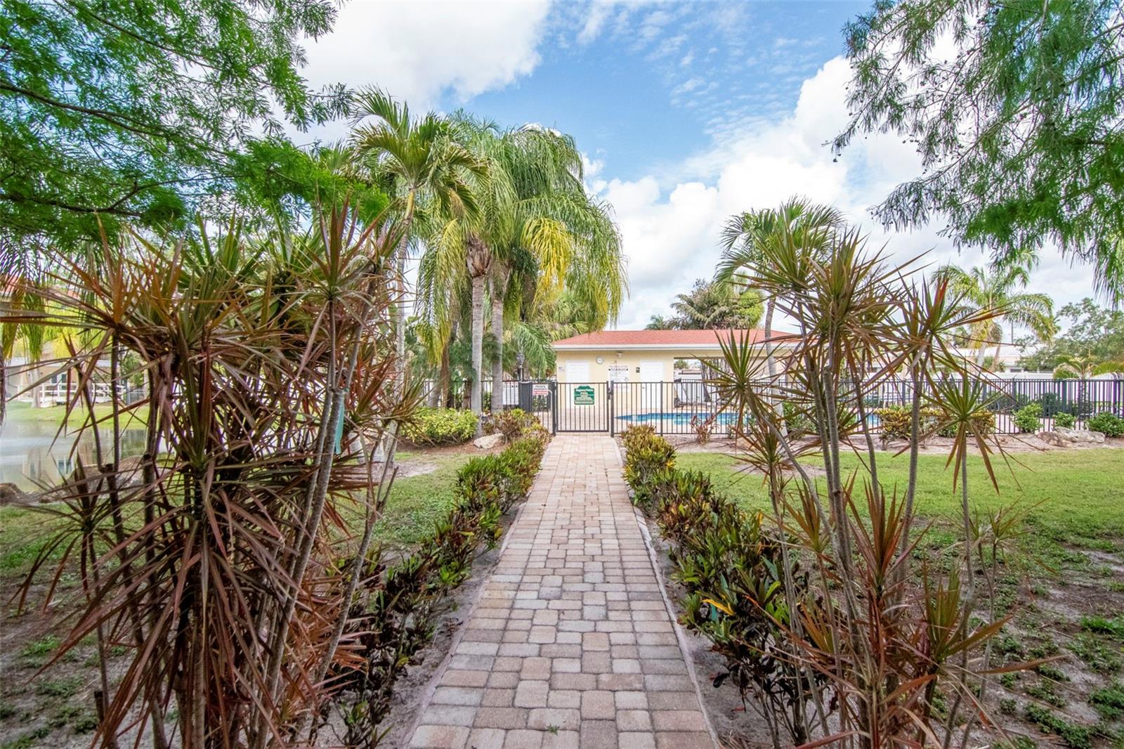Walkway to pool - 6395 BANYAN BLVD #303, NEW PORT RICHEY