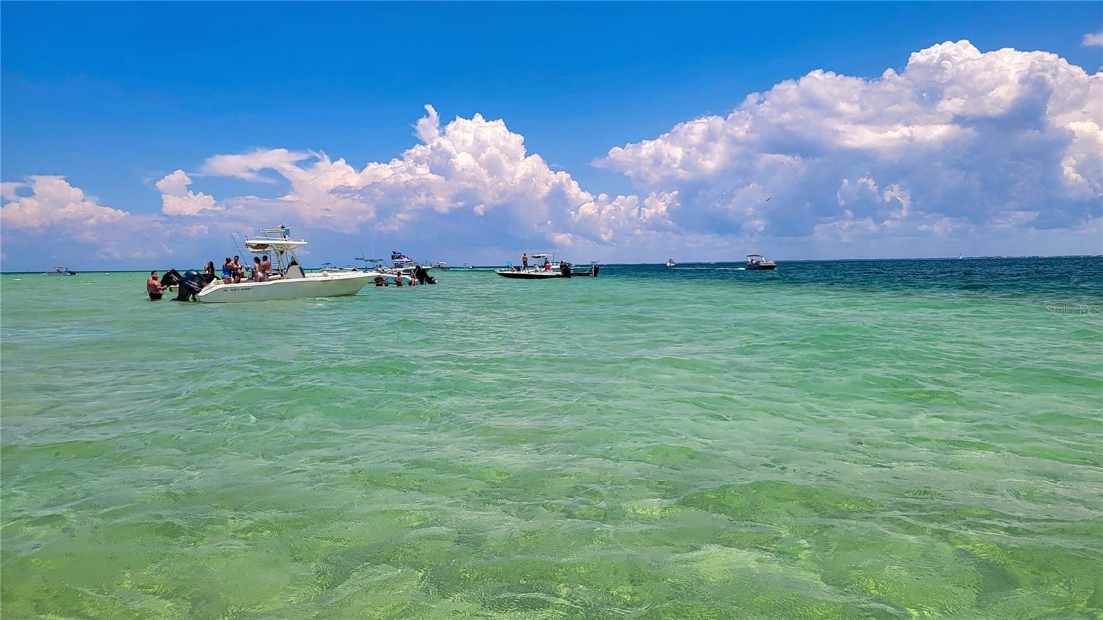 Anclote Sand Bar!! - 6395 BANYAN BLVD #303, NEW PORT RICHEY
