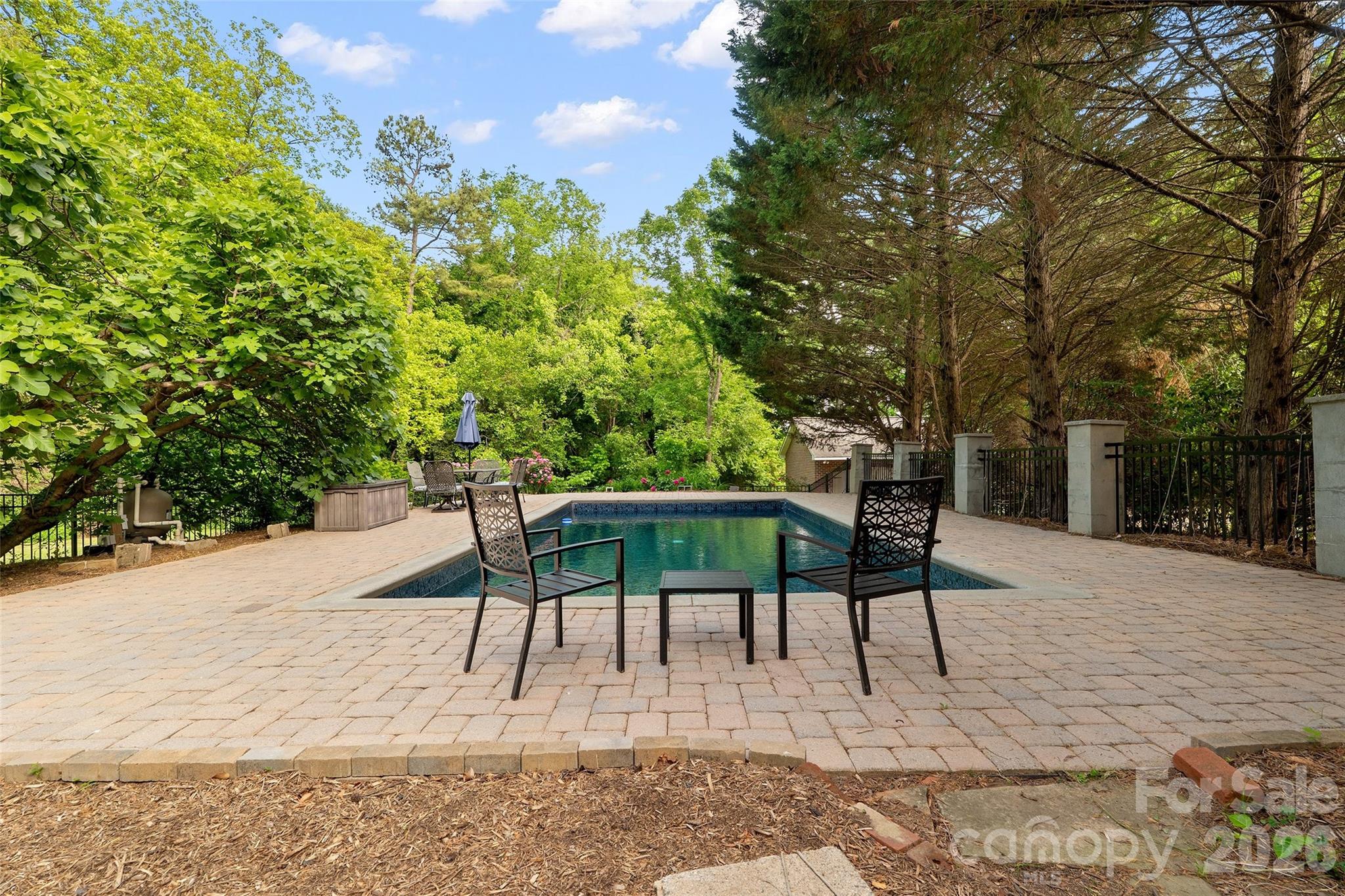 As an added bonus, this historic home has a modern amenity- in ground pool, fenced with paver surround; brand new liner installed this Spring. - 602 N Main Street, Davidson