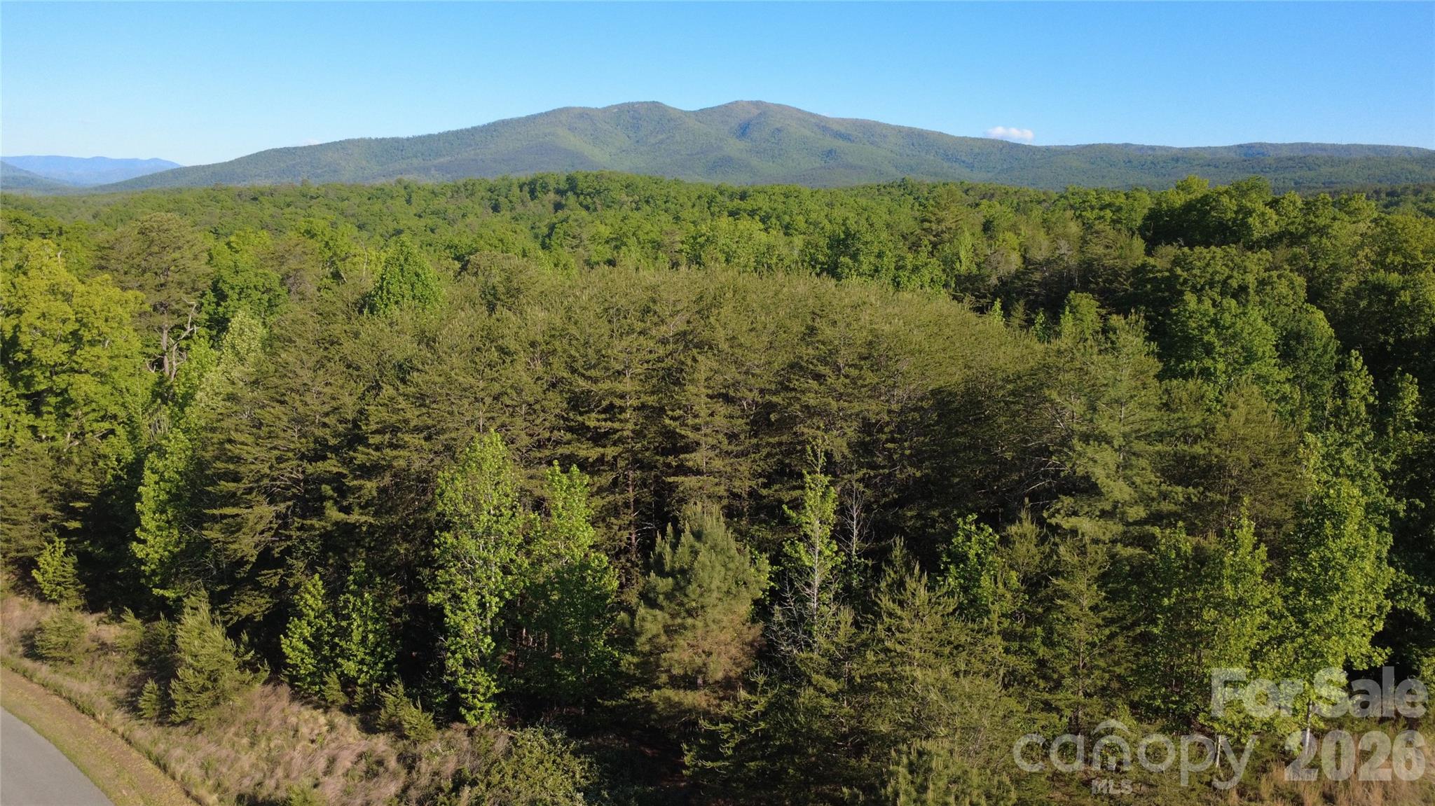 Lot at 431 Ridge Point Road, Nebo, photo 6 of 20