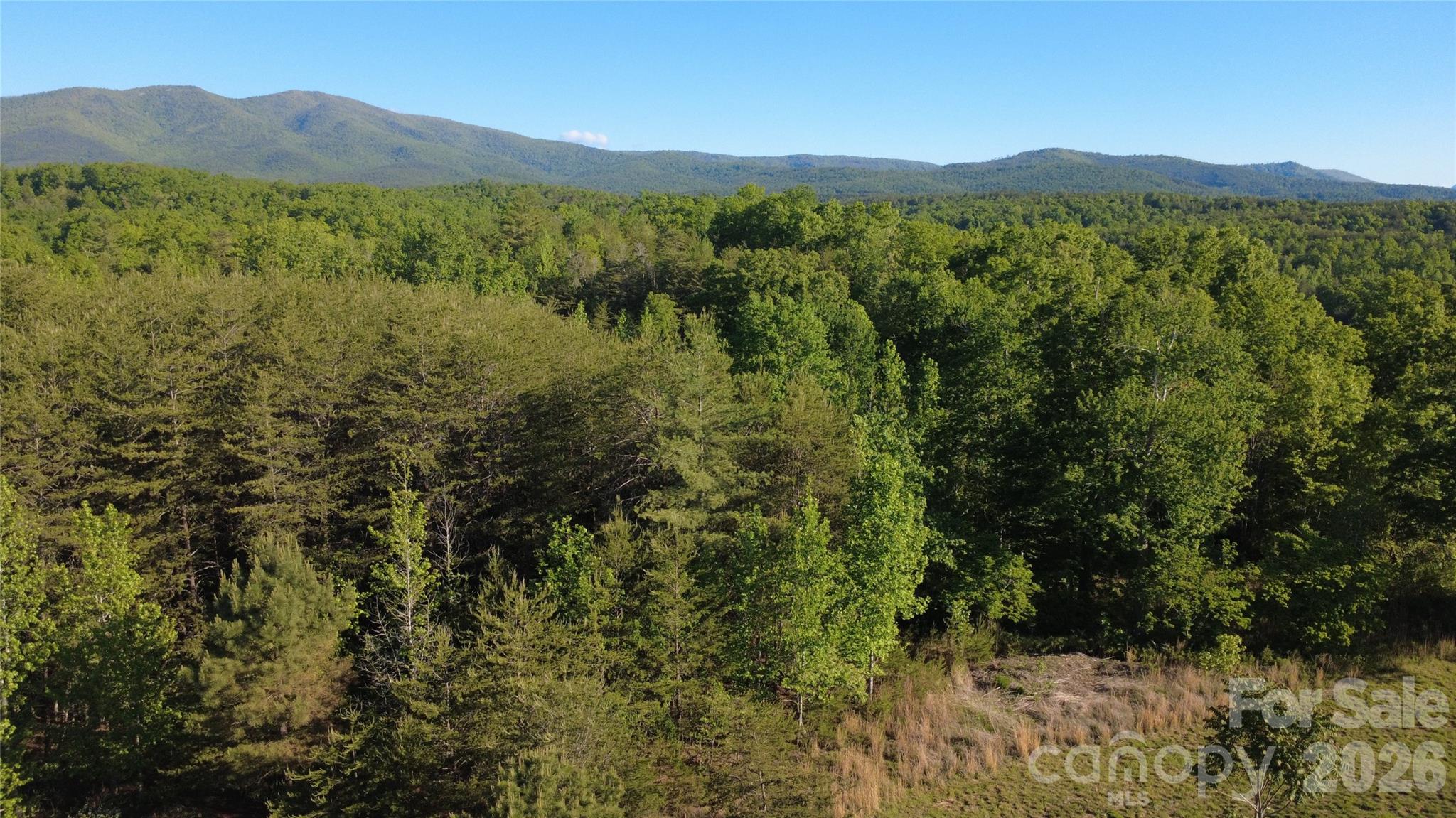 Lot at 431 Ridge Point Road, Nebo, photo 7 of 20