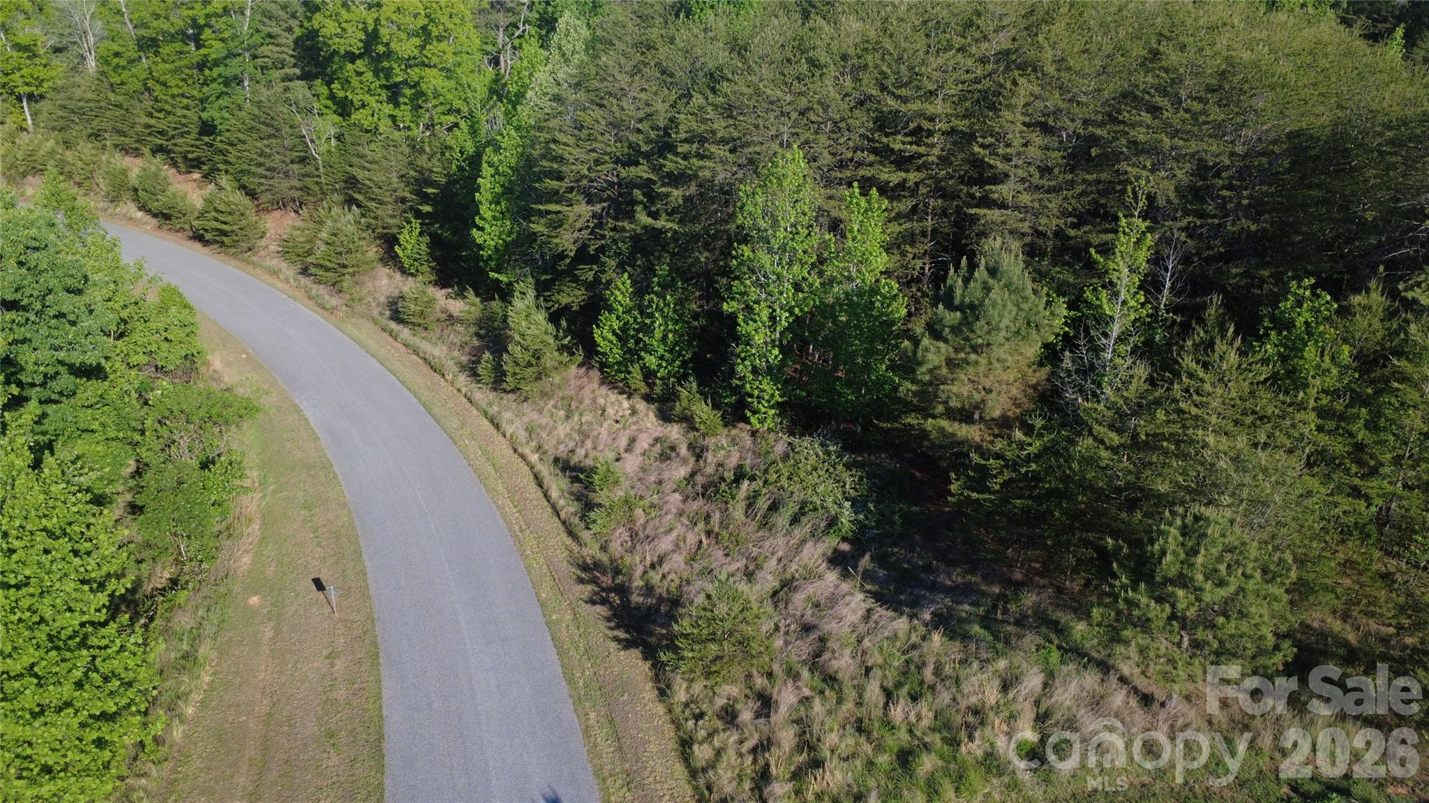 Lot at 431 Ridge Point Road, Nebo, photo 8 of 20