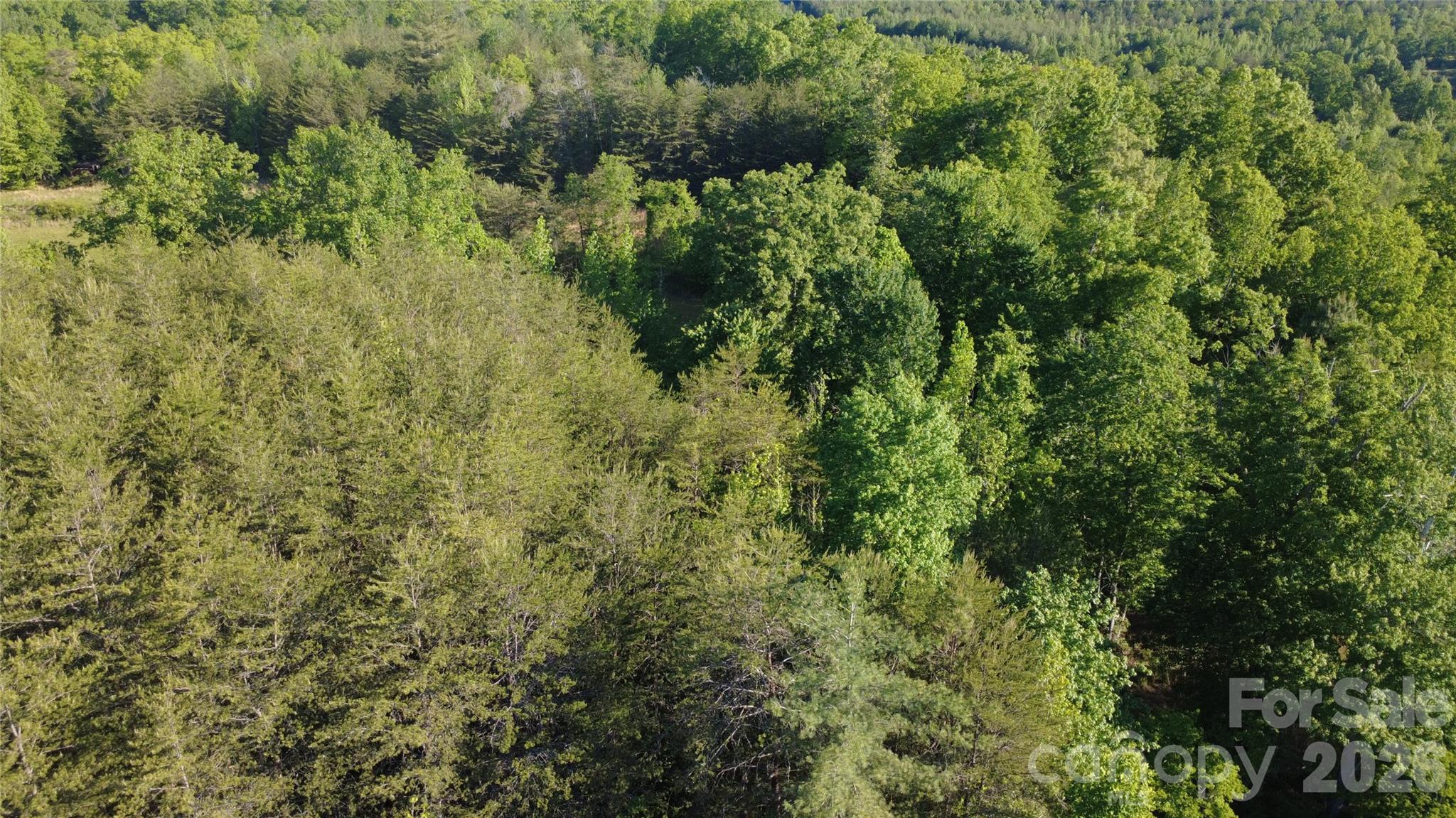 Lot at 431 Ridge Point Road, Nebo, photo 11 of 20