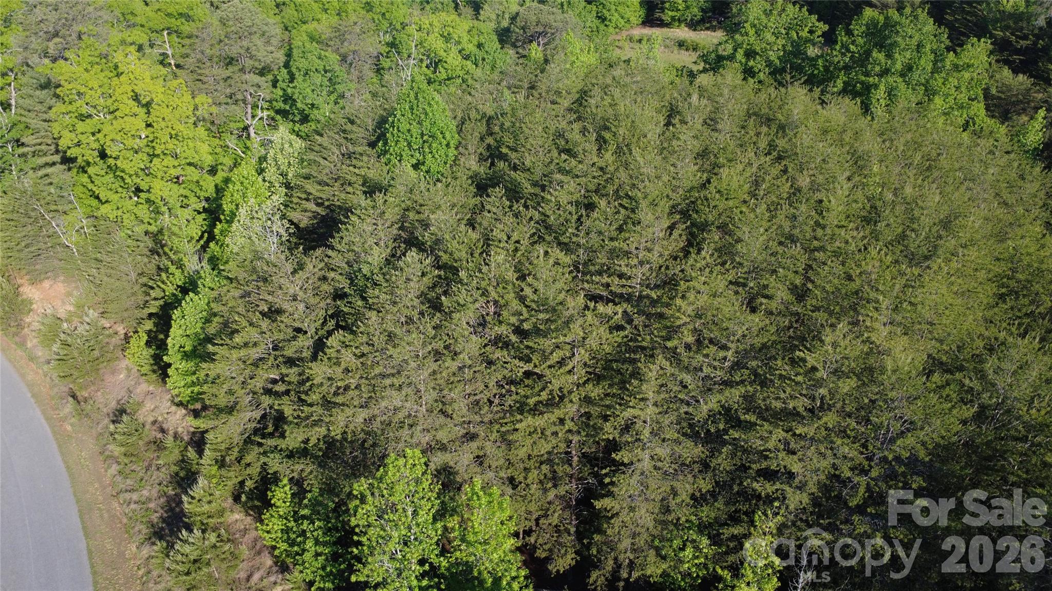 Lot at 431 Ridge Point Road, Nebo, photo 12 of 20