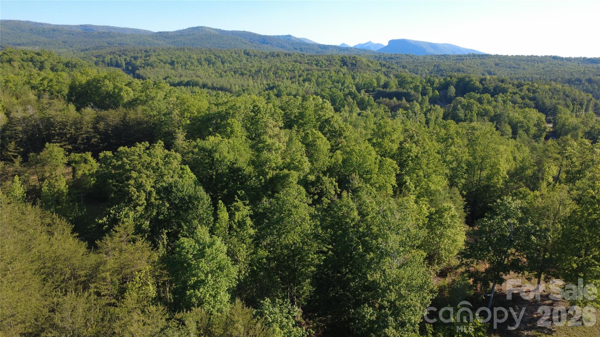 Lot at 431 Ridge Point Road, Nebo, photo 13 of 20
