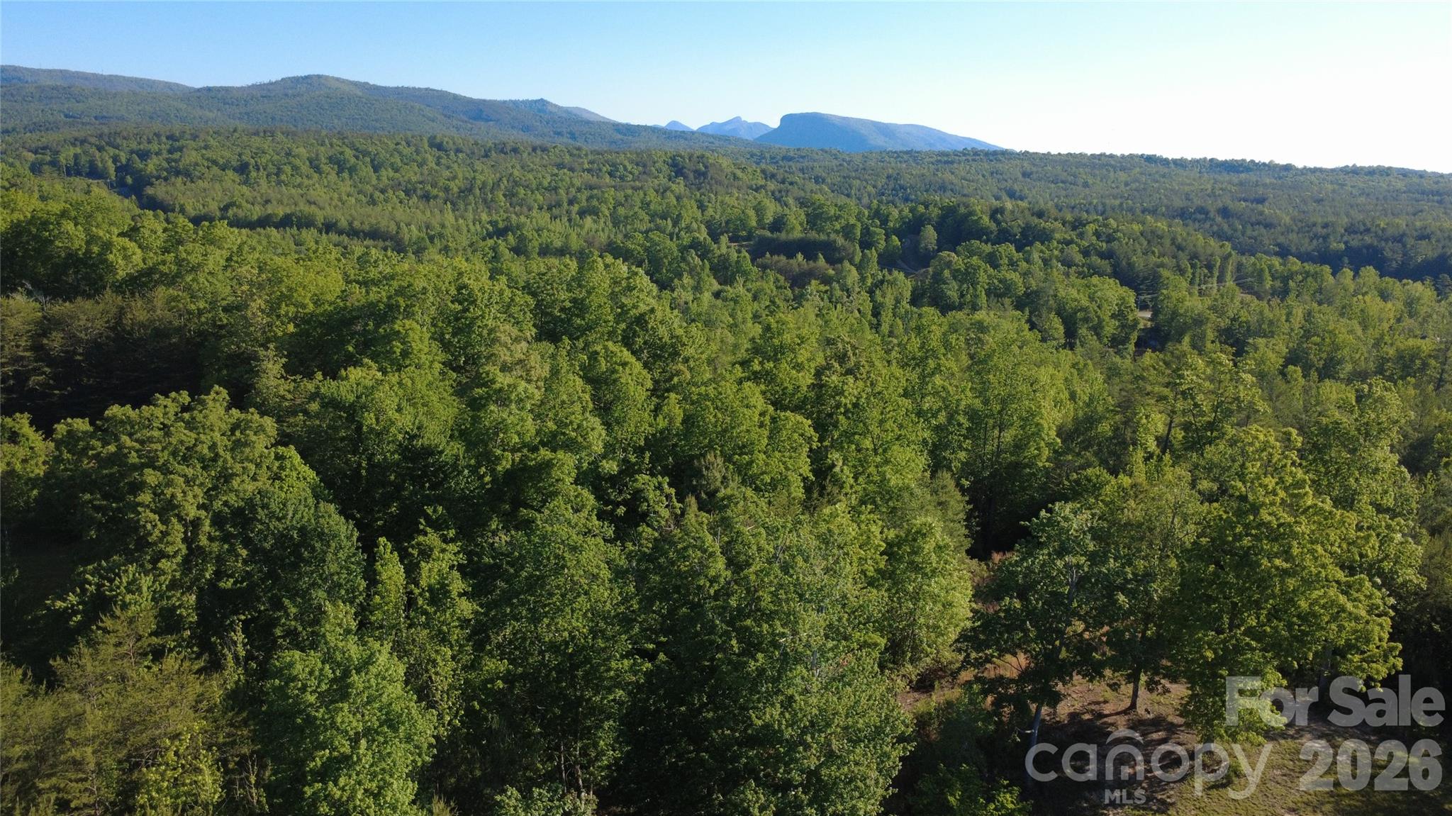 Lot at 431 Ridge Point Road, Nebo, photo 15 of 20