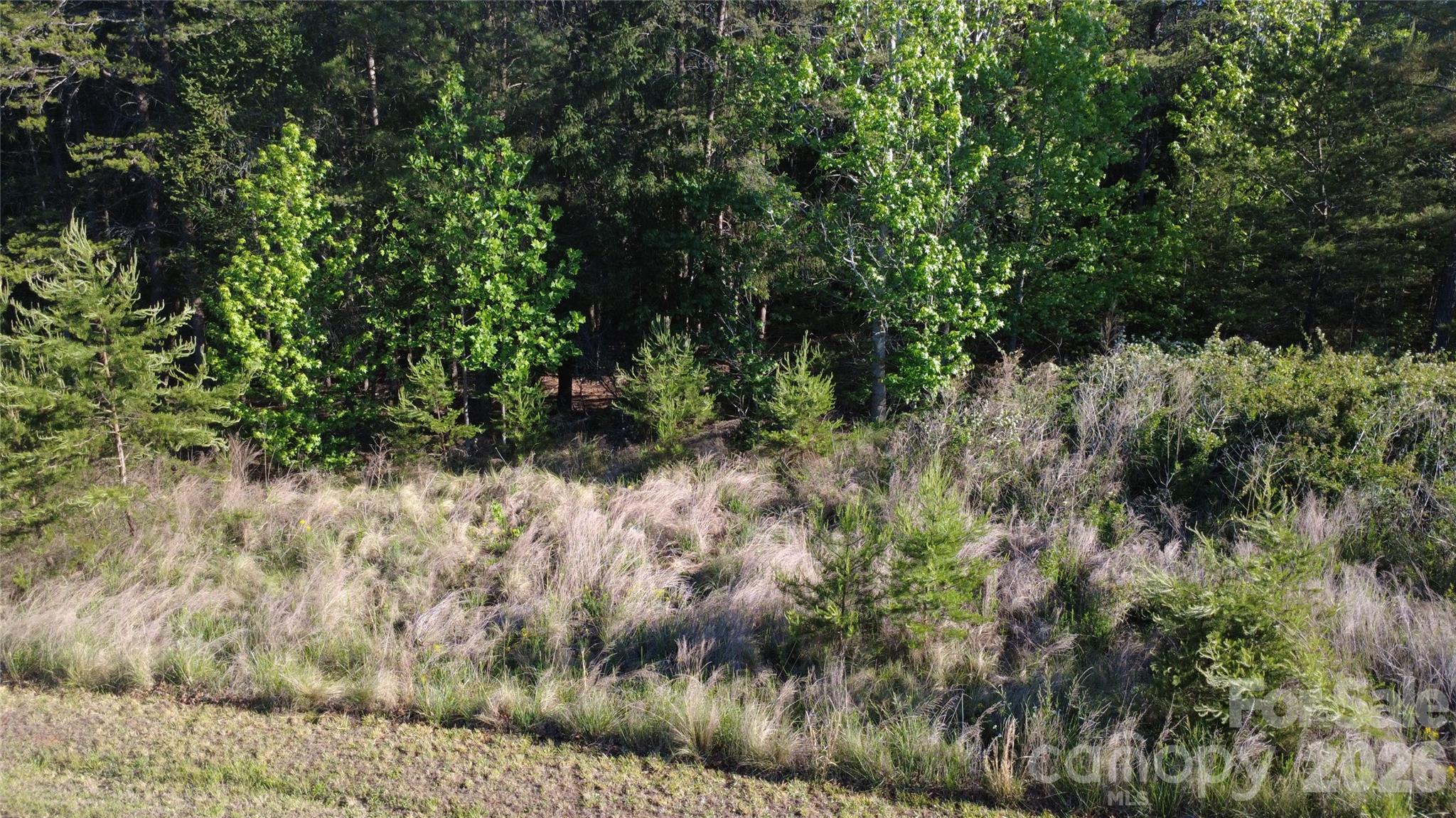 Lot at 431 Ridge Point Road, Nebo, photo 19 of 20