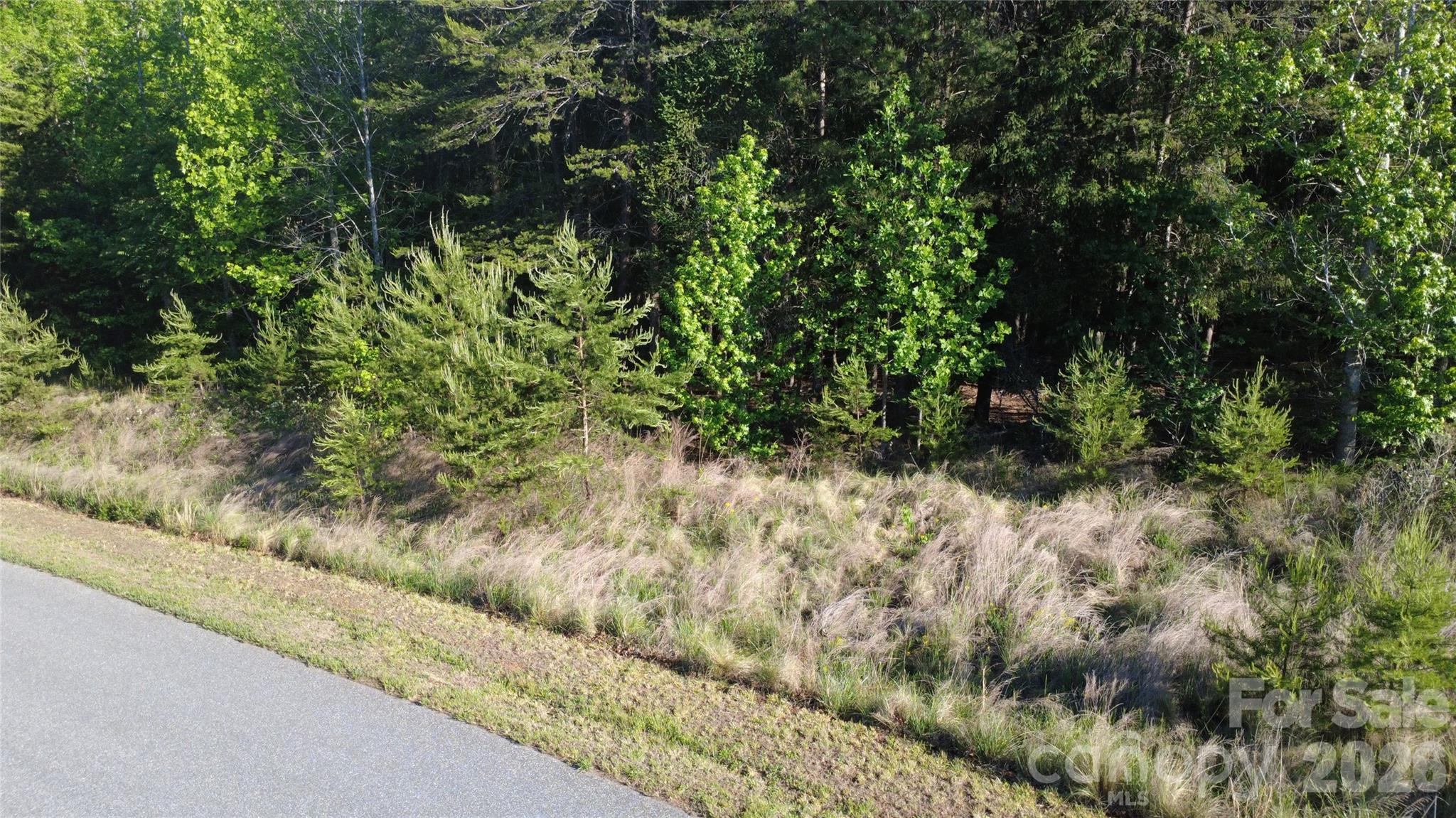 Lot at 431 Ridge Point Road, Nebo, photo 20 of 20