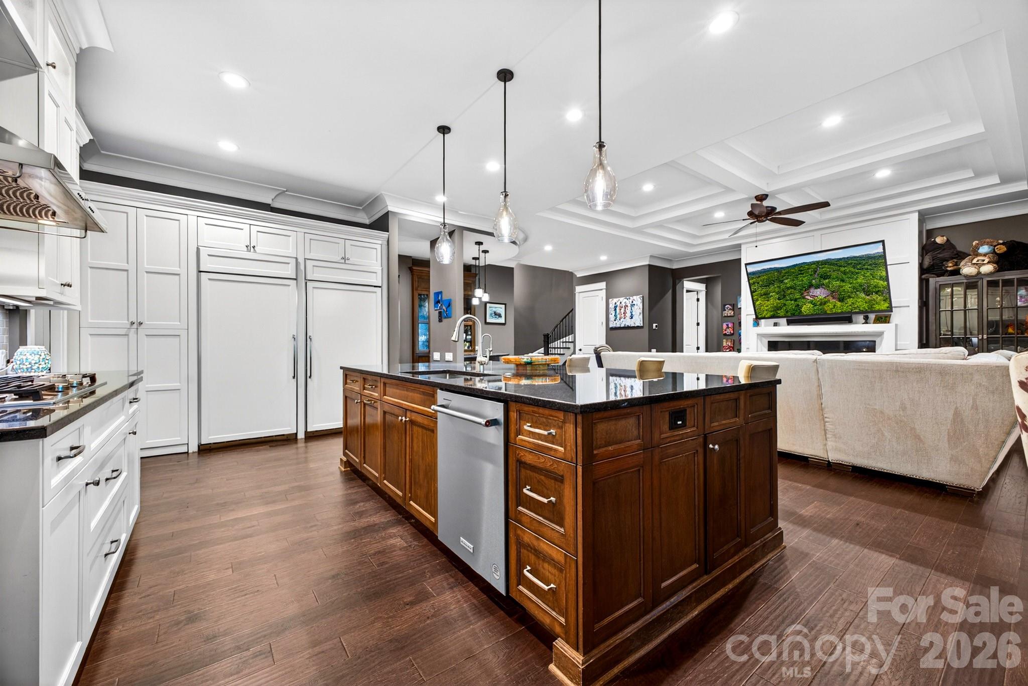 Single Family Residence at 671 Mills River Way, Horse Shoe, photo 2 of 48