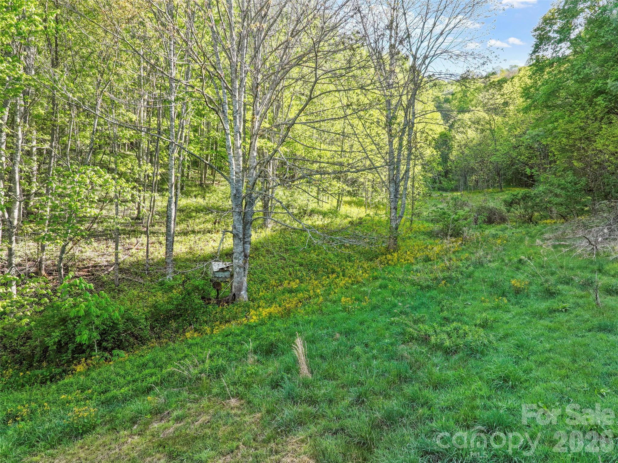 Acreage at 3454 Puncheon Fork Road, Mars Hill, photo 14 of 42