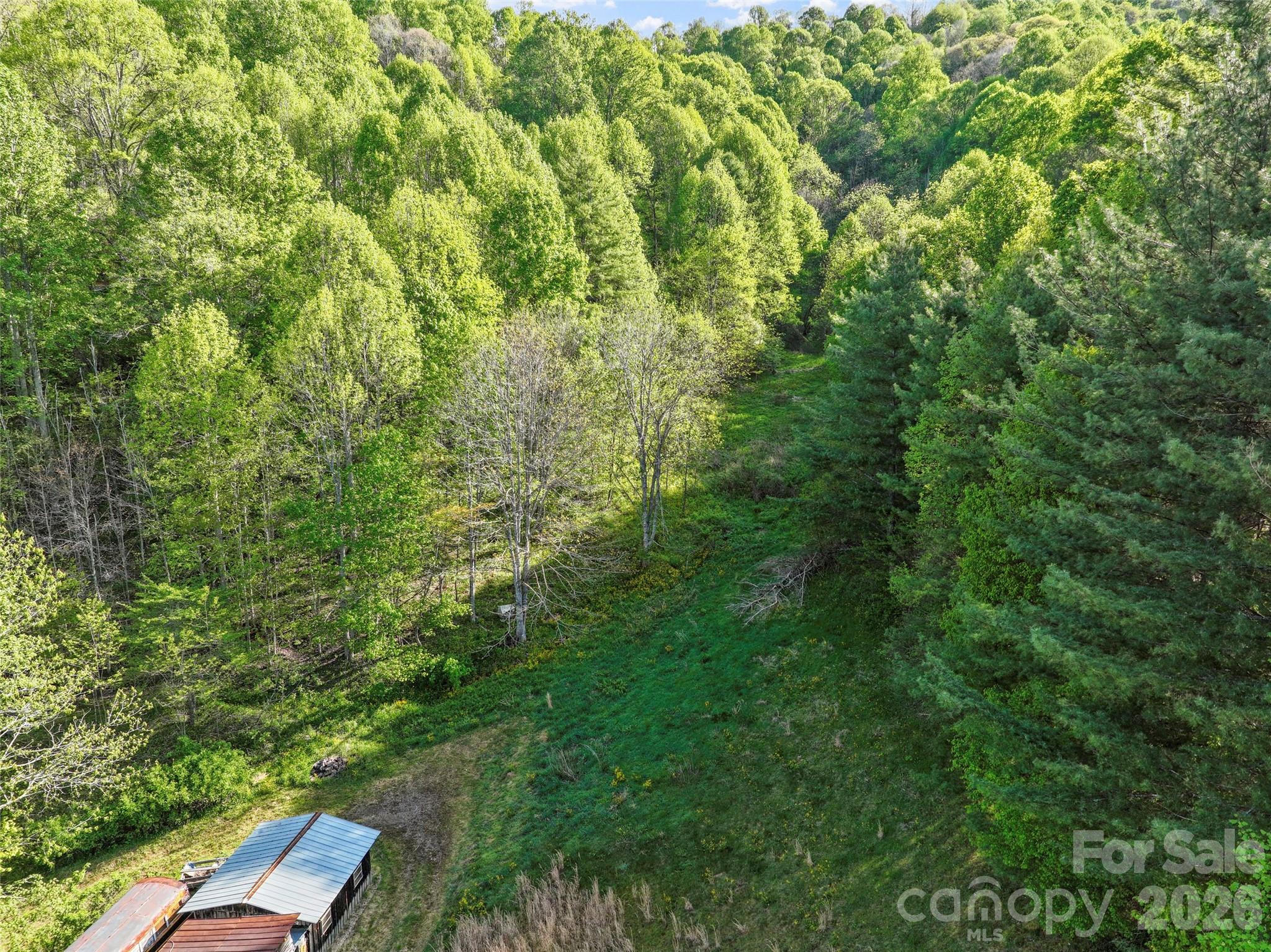 Acreage at 3454 Puncheon Fork Road, Mars Hill, photo 22 of 42