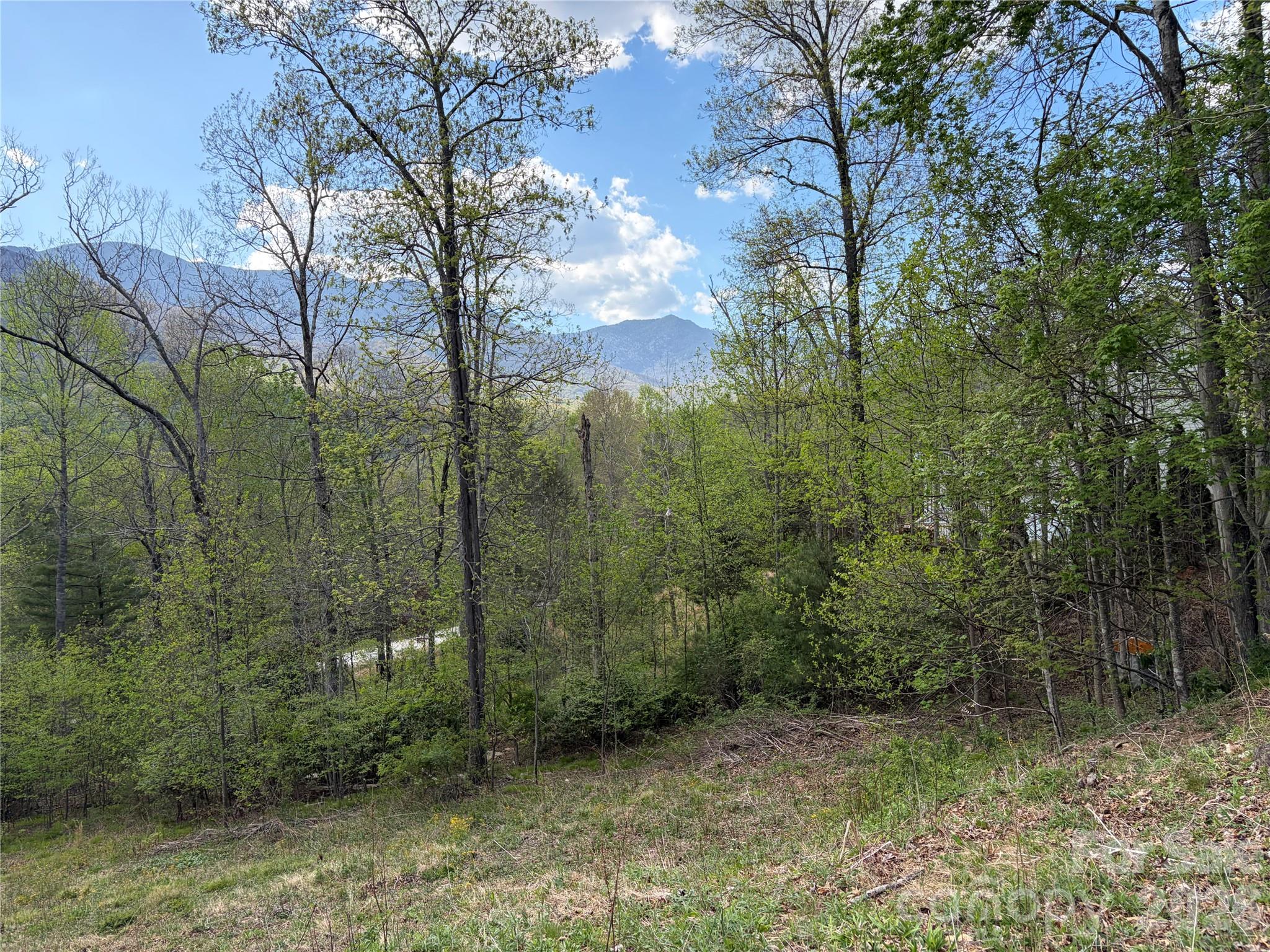 Lot at 000 Mt. Mitchell Drive, Burnsville, photo 10 of 13