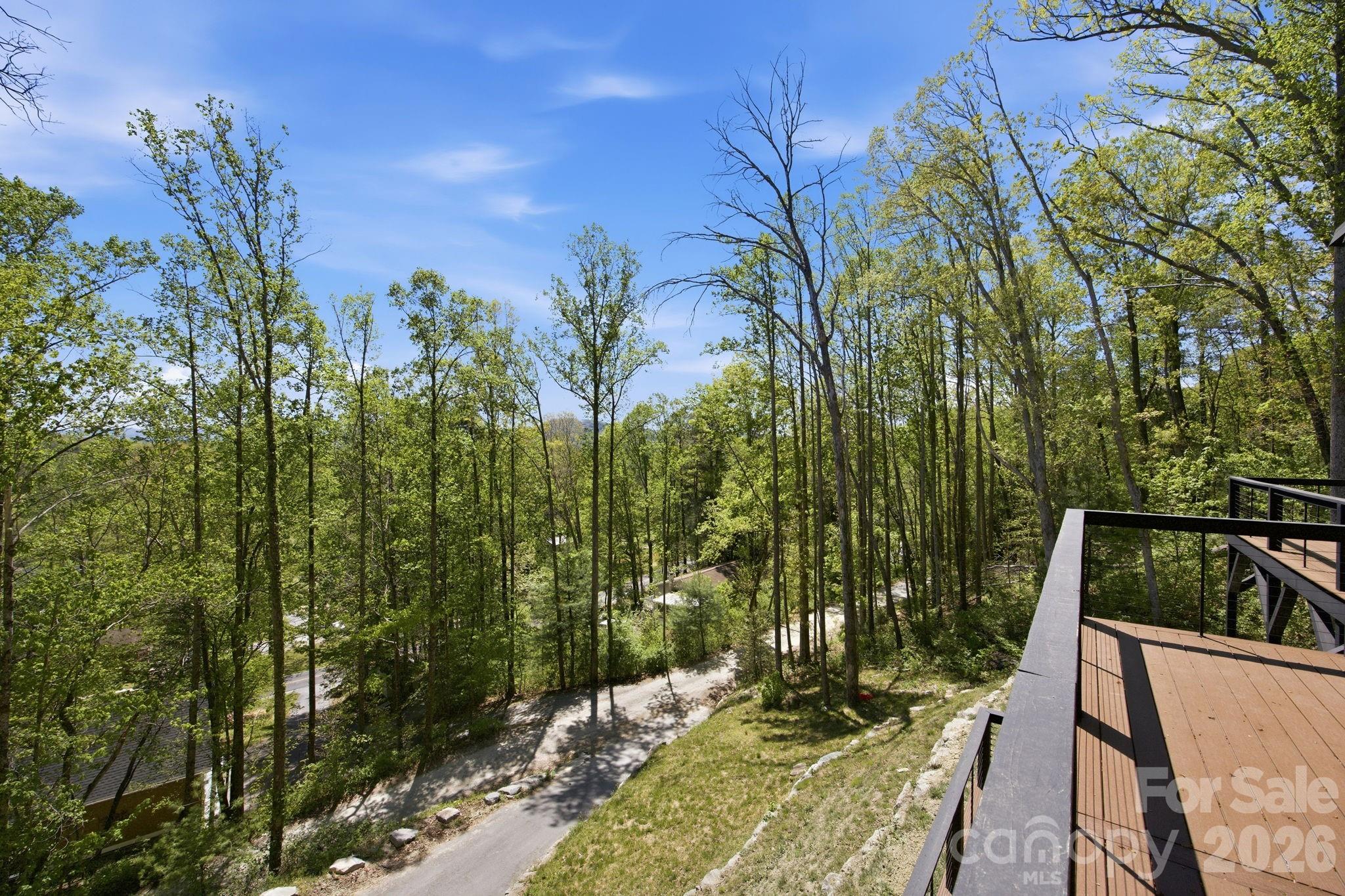 View from Deck - 102 Sandpiper Palisades Street, Hendersonville