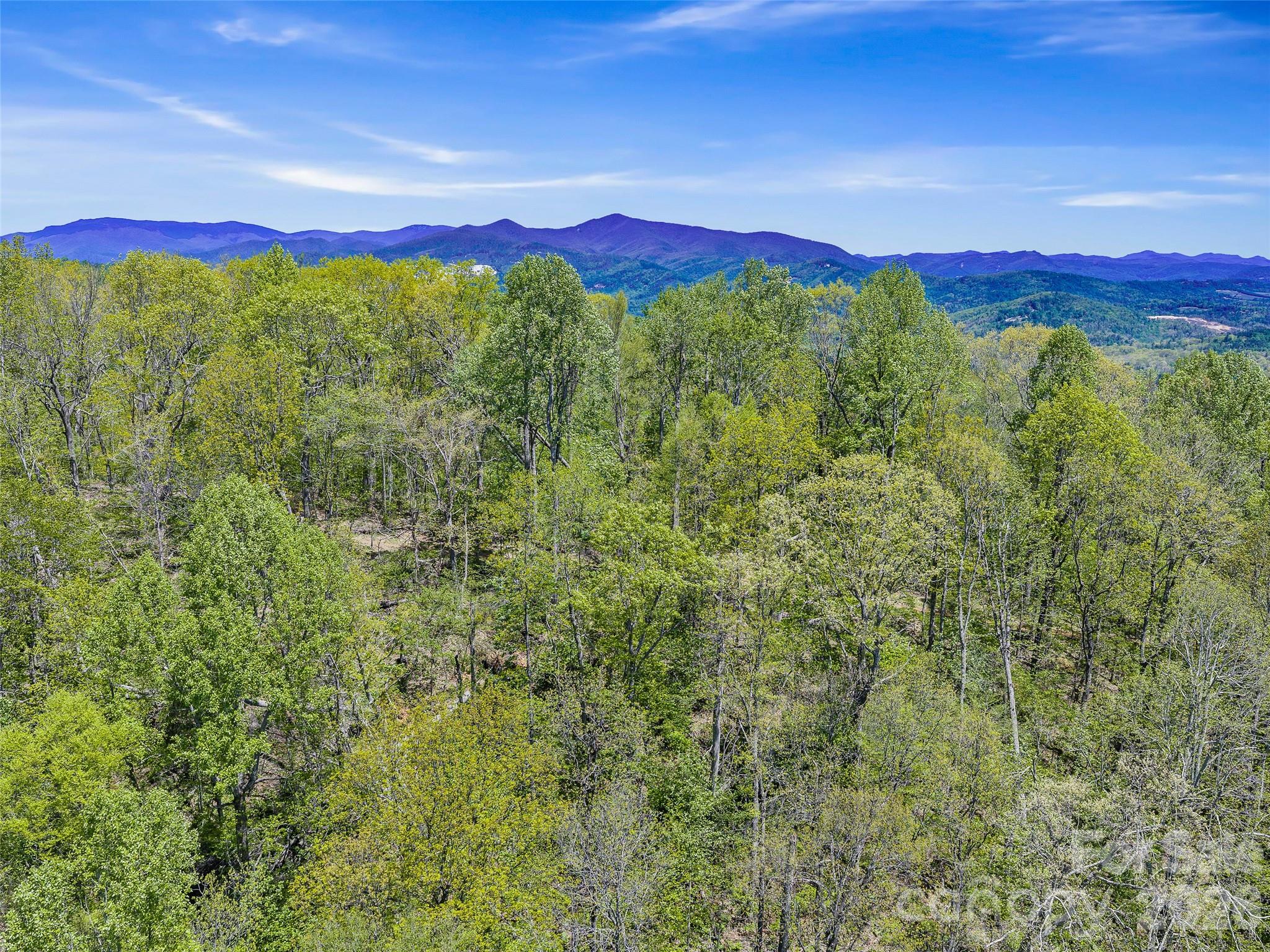 Acreage at TBD Holly Dale Drive, Spruce Pine, photo 2 of 15