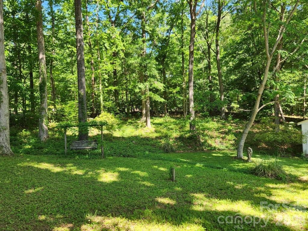 Single Family Residence at 328 Swamp Fox Drive, Fort Mill, photo 23 of 24