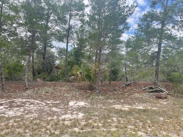 1342 HOMOSASSA DR