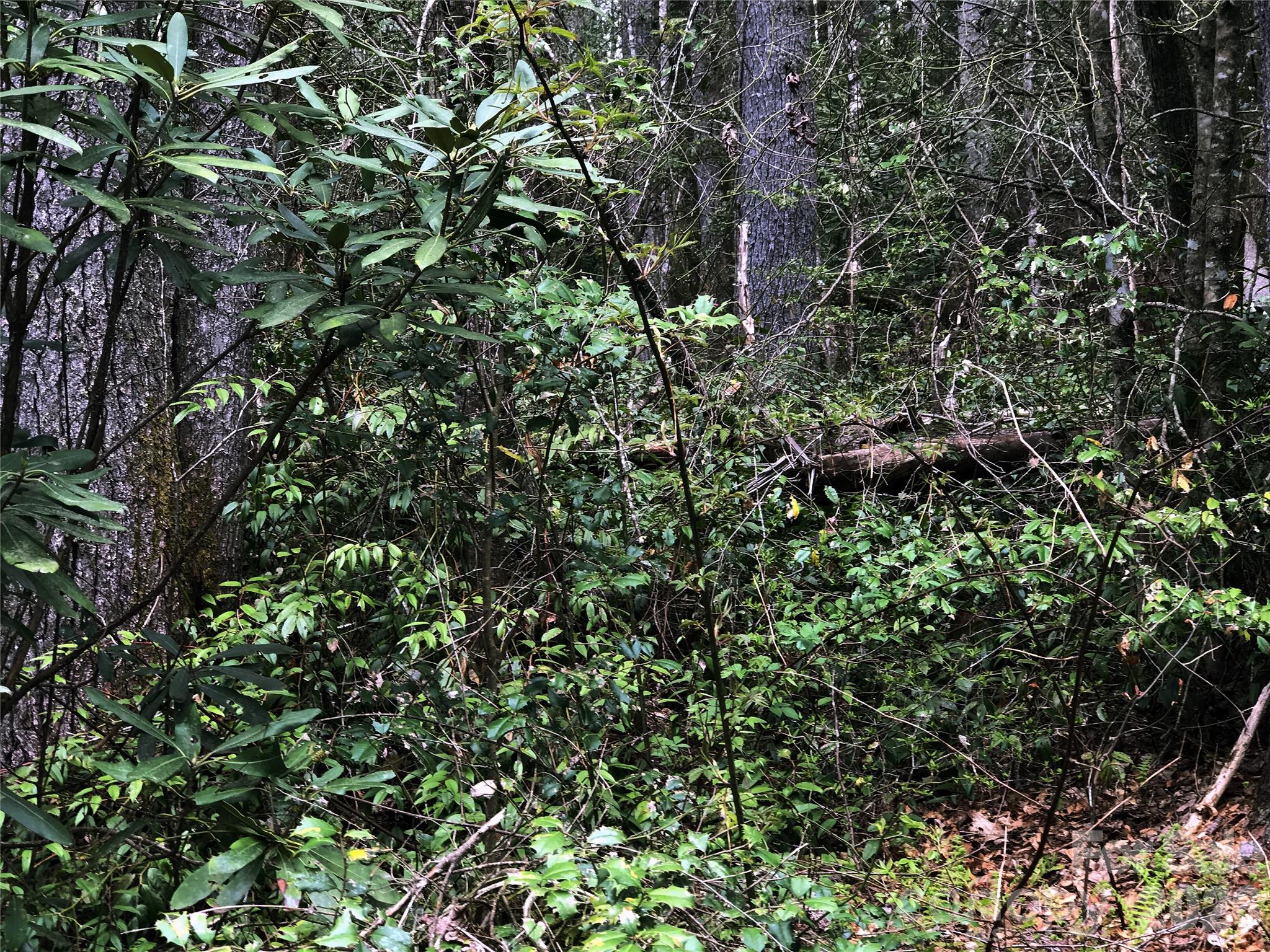 Lot at 152 Sunrise Court, Sapphire, photo 3 of 9