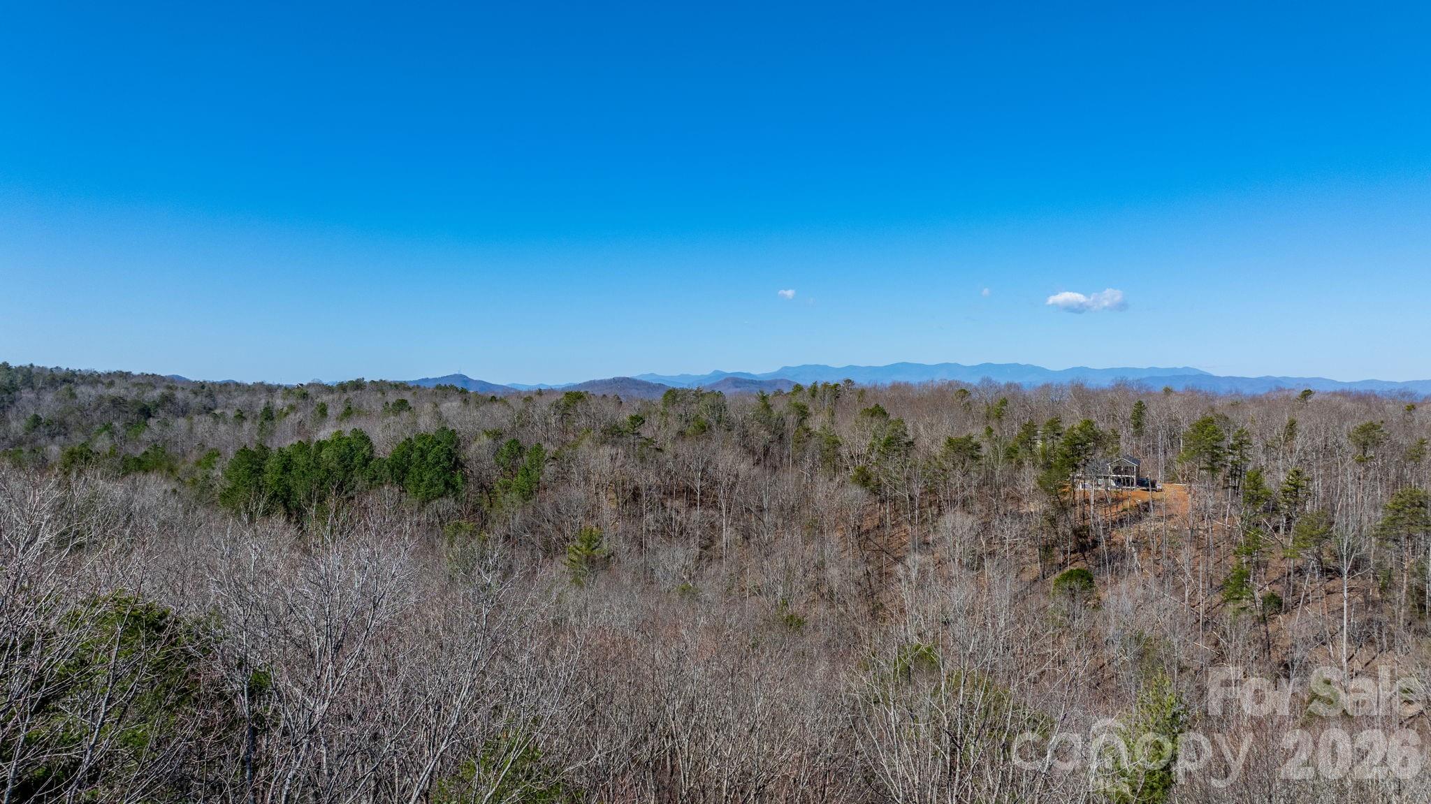 Lot at TBD Dirksen Avenue, Nebo, photo 2 of 23