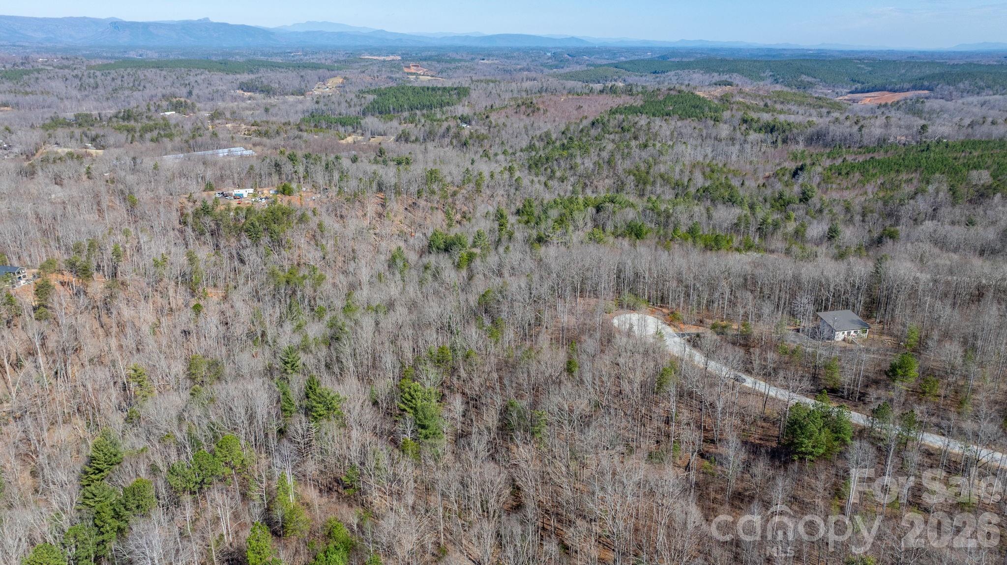 Lot at TBD Dirksen Avenue, Nebo, photo 3 of 23