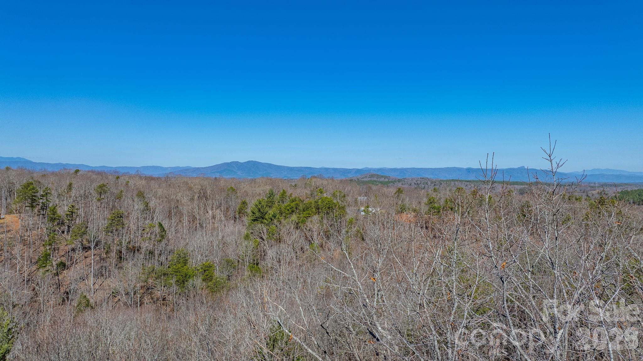 Lot at TBD Dirksen Avenue, Nebo, photo 4 of 23