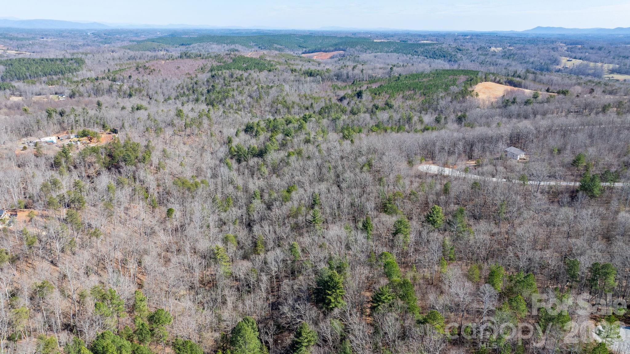 Lot at TBD Dirksen Avenue, Nebo, photo 5 of 23