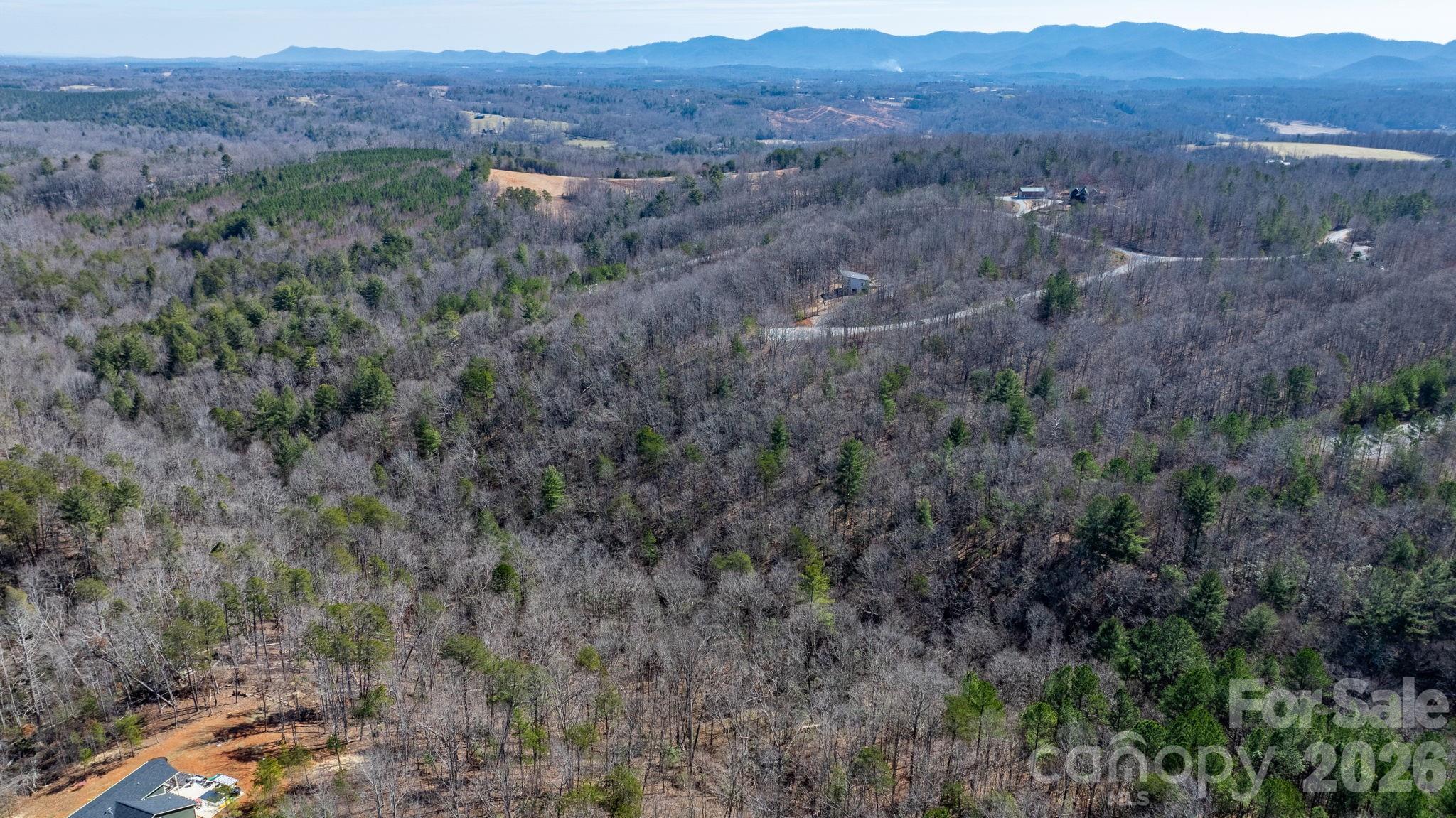 Lot at TBD Dirksen Avenue, Nebo, photo 6 of 23