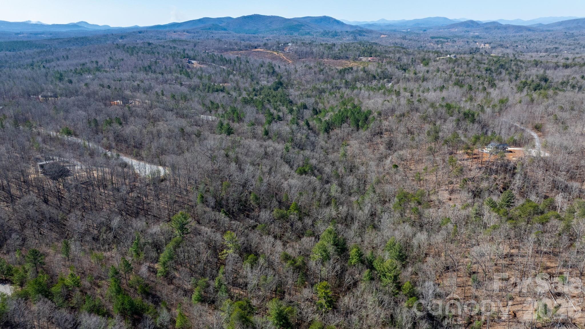 Lot at TBD Dirksen Avenue, Nebo, photo 9 of 23